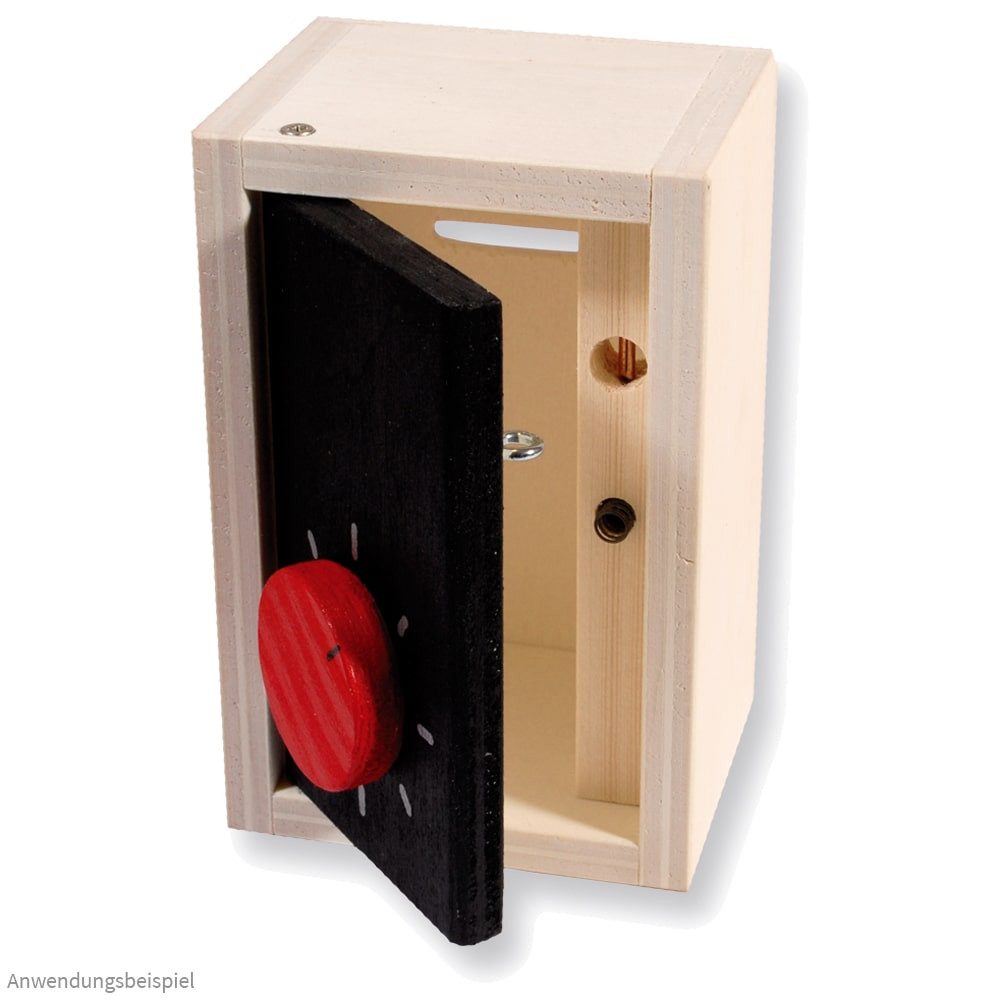 matches21 HOME & HOBBY Tresor Holz Bausatz Kinder ab 12 Jahren Holzbaukasten