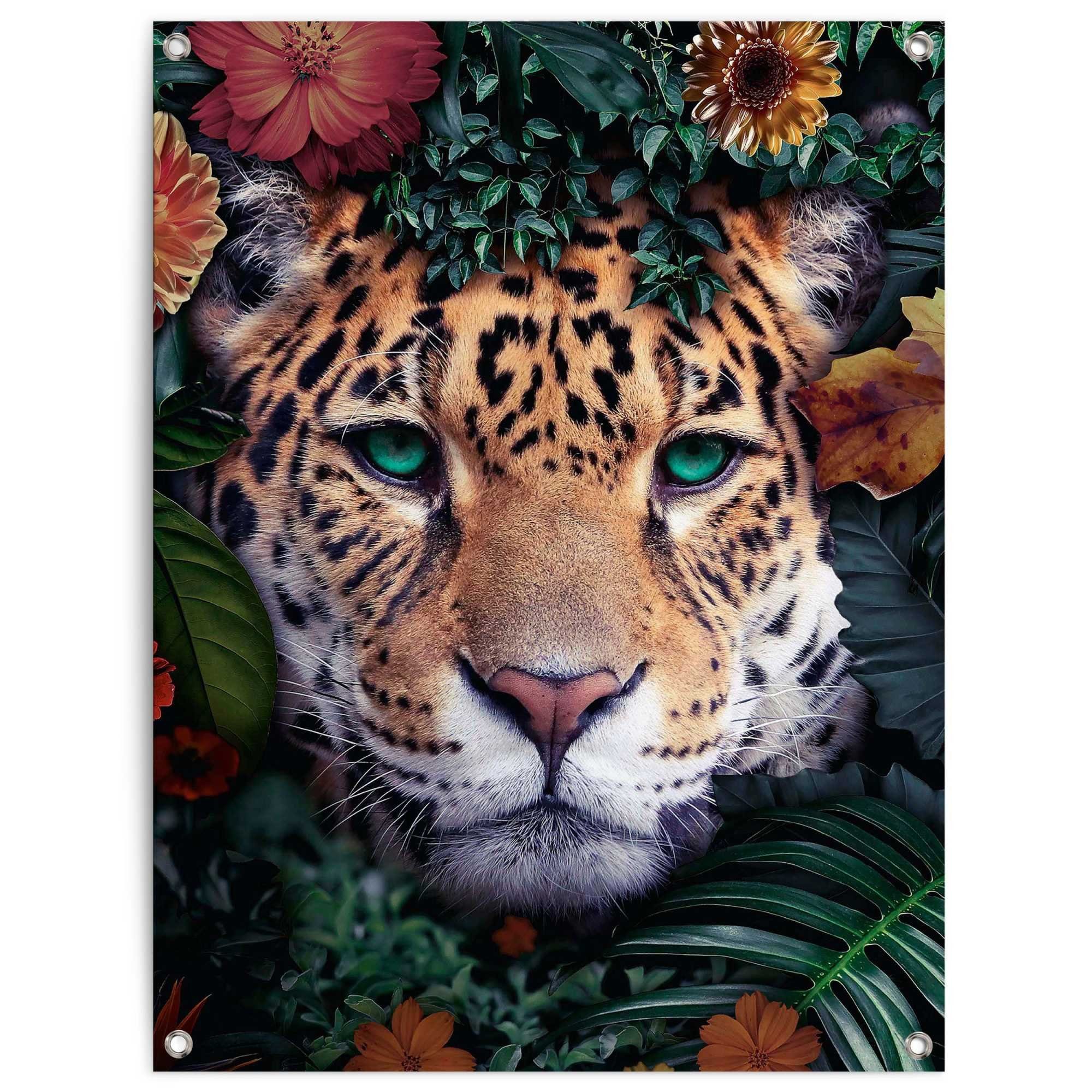 Poster Leopard