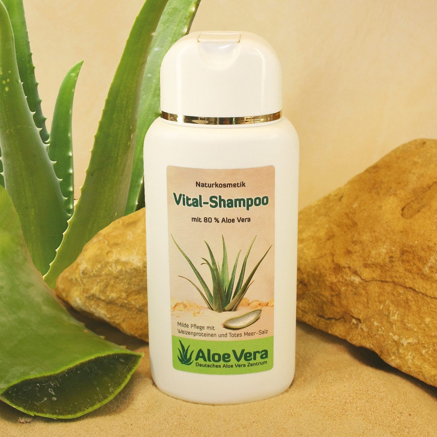 Deutsches Aloe Vera Zentrum GmbH Haarshampoo Vital-Shampoo mit Aloe Vera