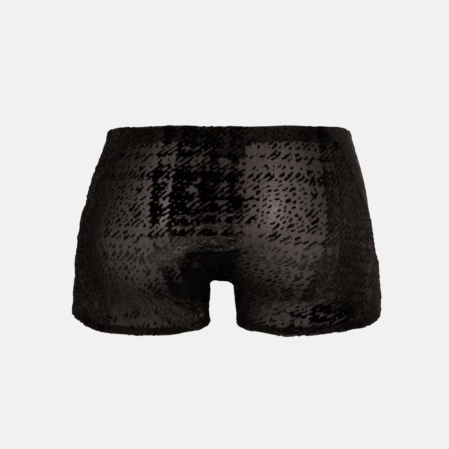 SPITZENJUNGE Boxer Benito