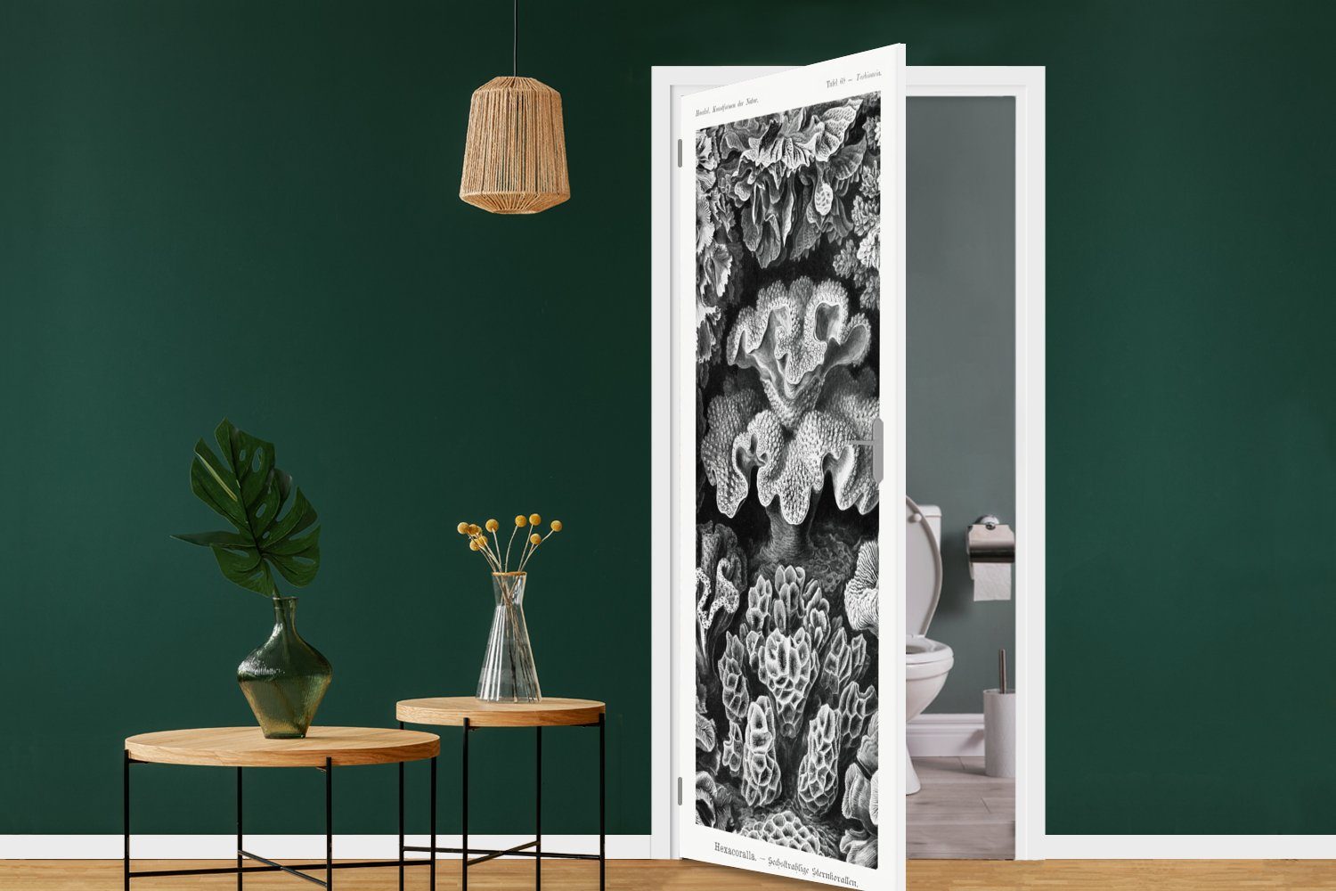 Alte - Meister Matt, St), Kunst Natur, Tür, für Ernst - - MuchoWow Koralle 75x205 bedruckt, (1 cm Türaufkleber, Haeckel Fototapete - Türtapete