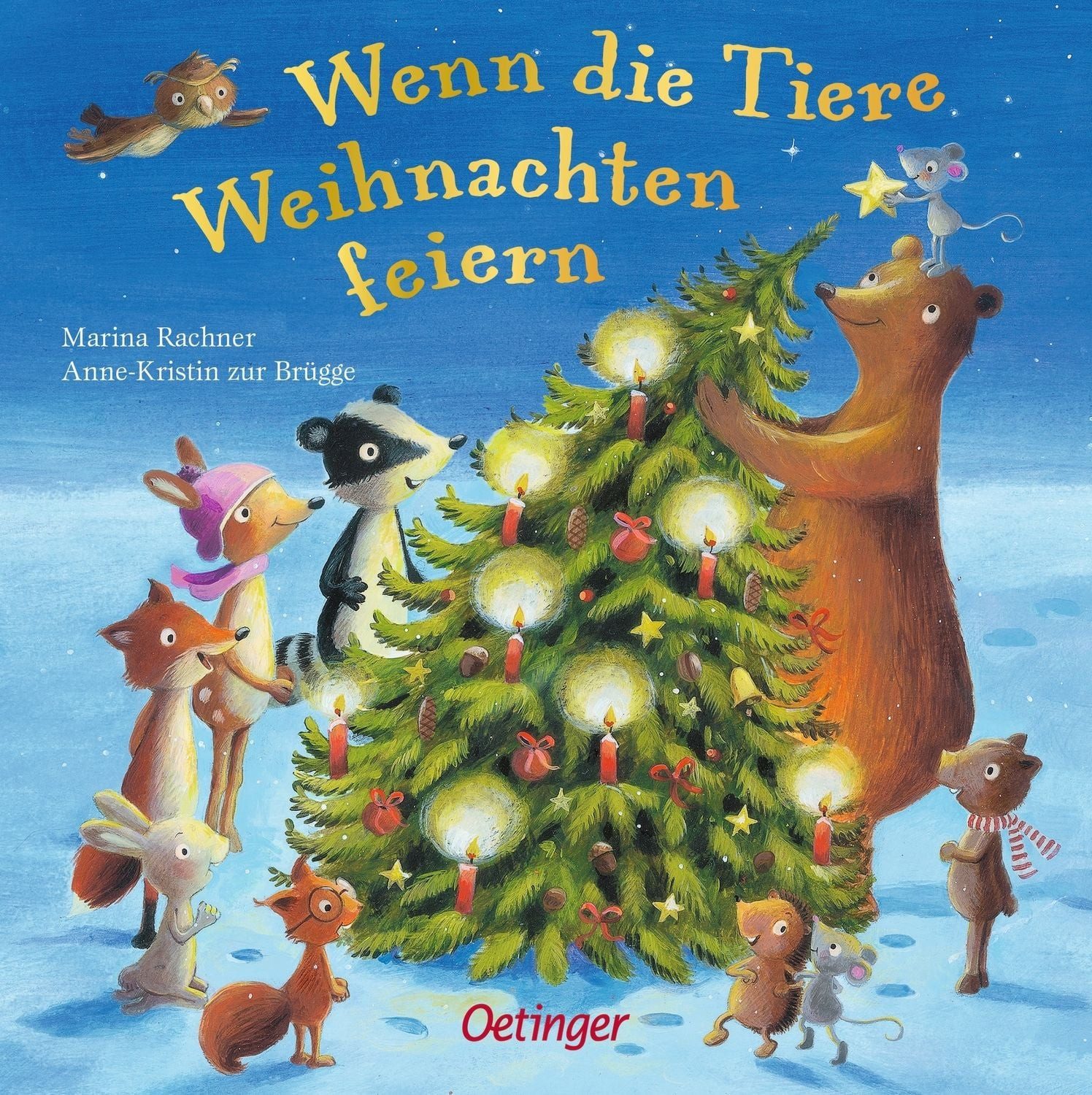 Wenn die Tiere Weihnachten feiern / Anne-Kristin zur Brügge