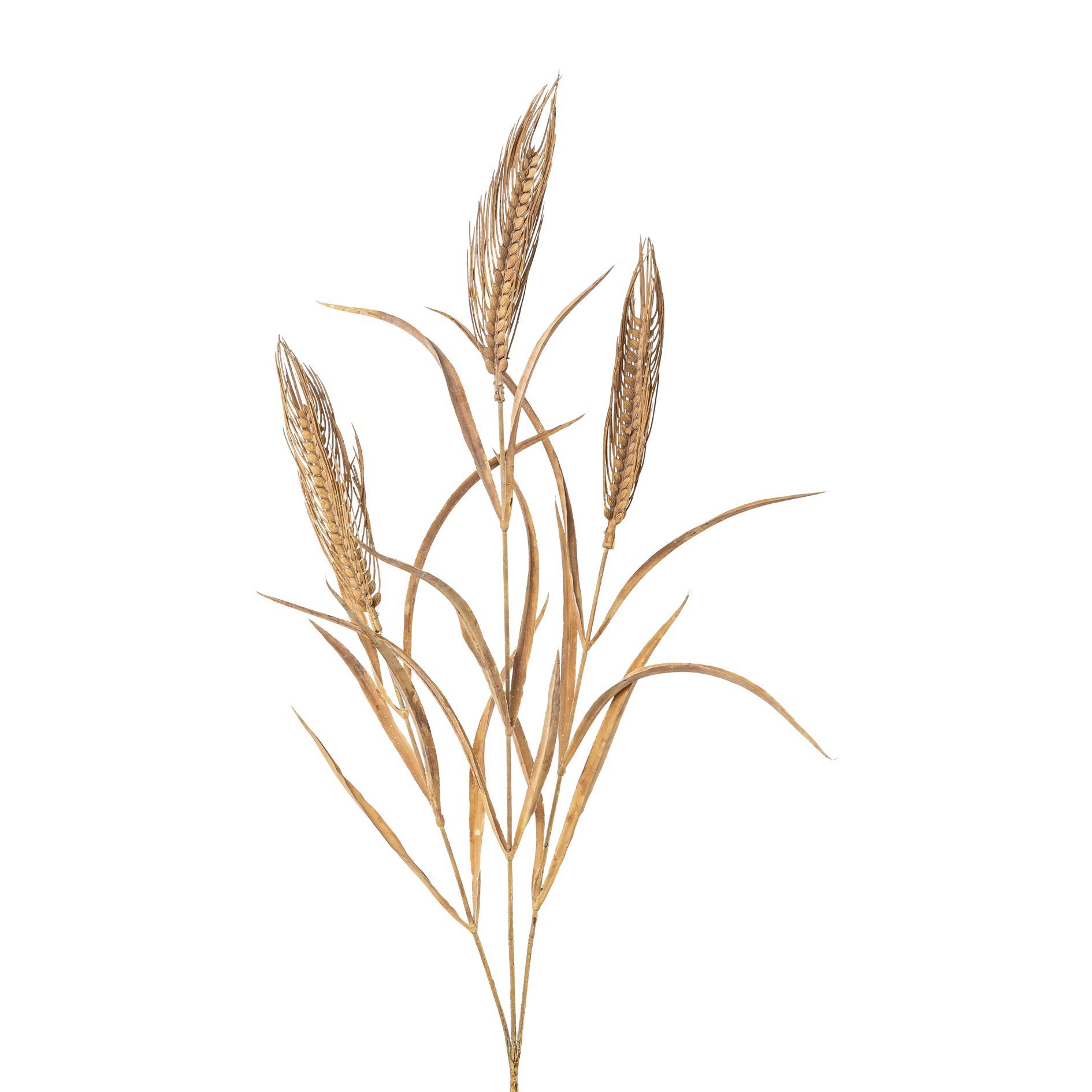 Kunstgras Künstlicher Roggen 79cm, Trockenblume Getreide Korn Weizen, Gasper, Höhe 79.00 cm