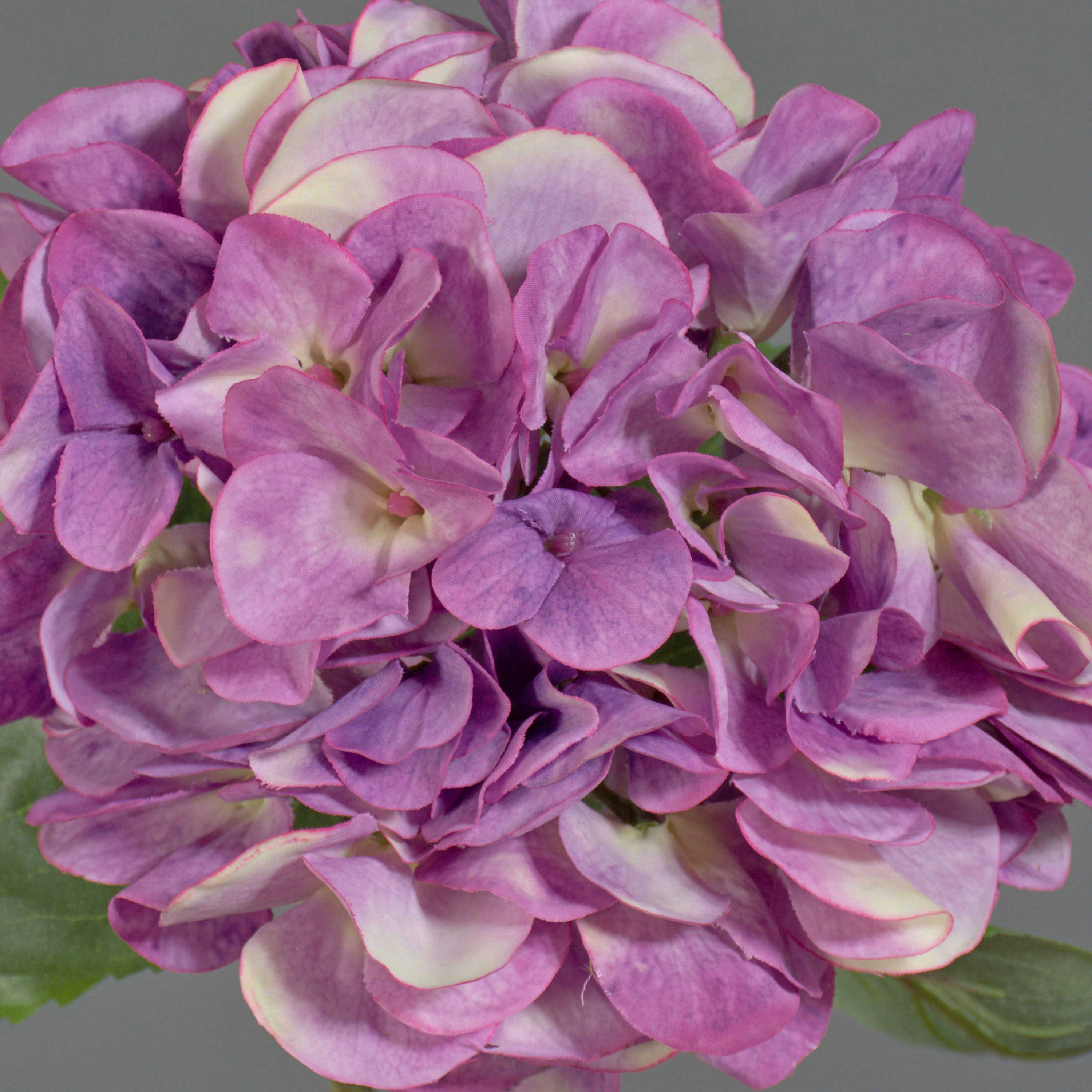 Kunstblume Künstliche Hortensie CHIDORI, violett-Creme, 60cm, Ø20cm Hortensie, artplants, Höhe 60.0 cm