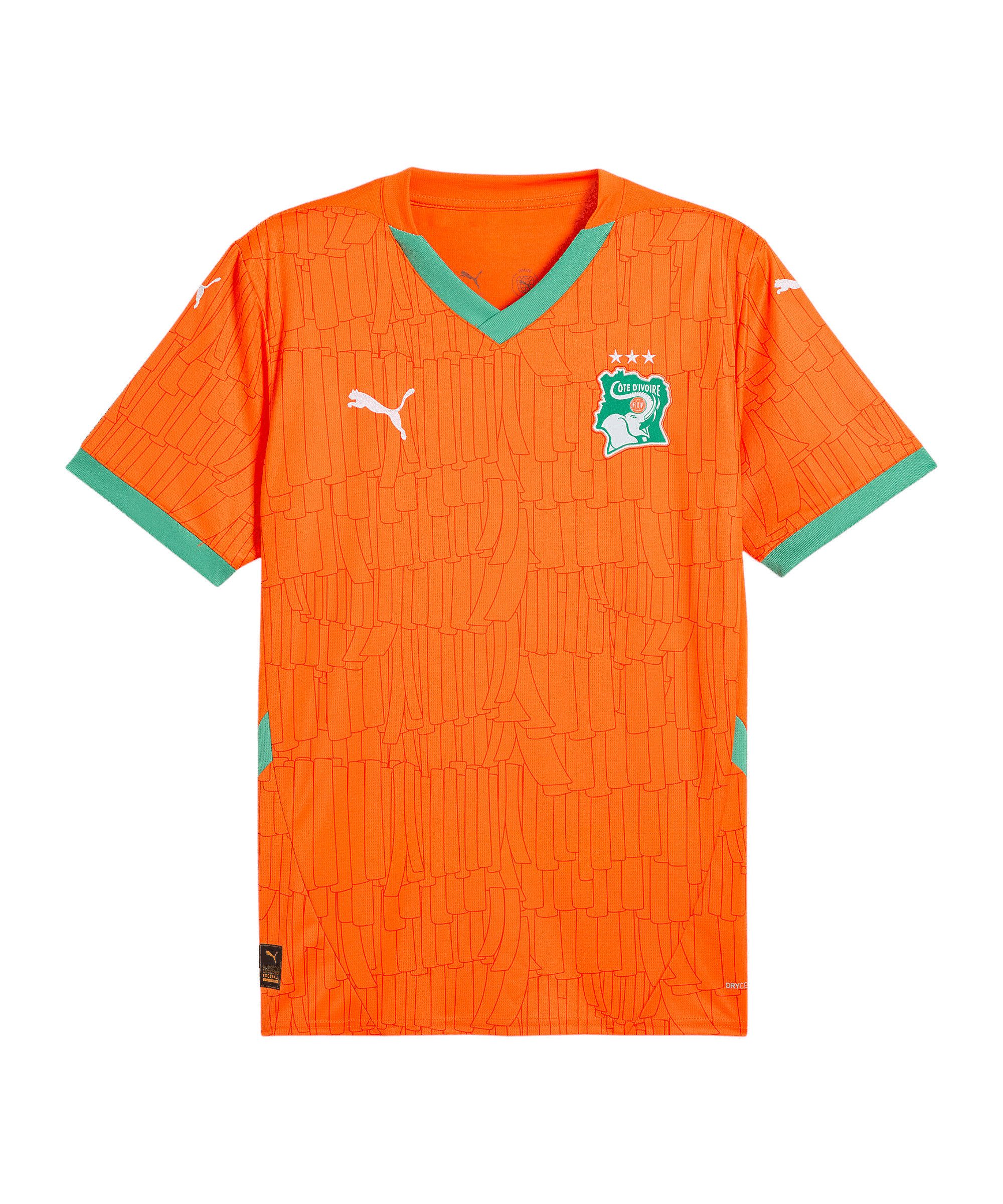 PUMA Fußballtrikot PUMA FIF Elfenbeinküste Trikot Home 2025 Teamsport