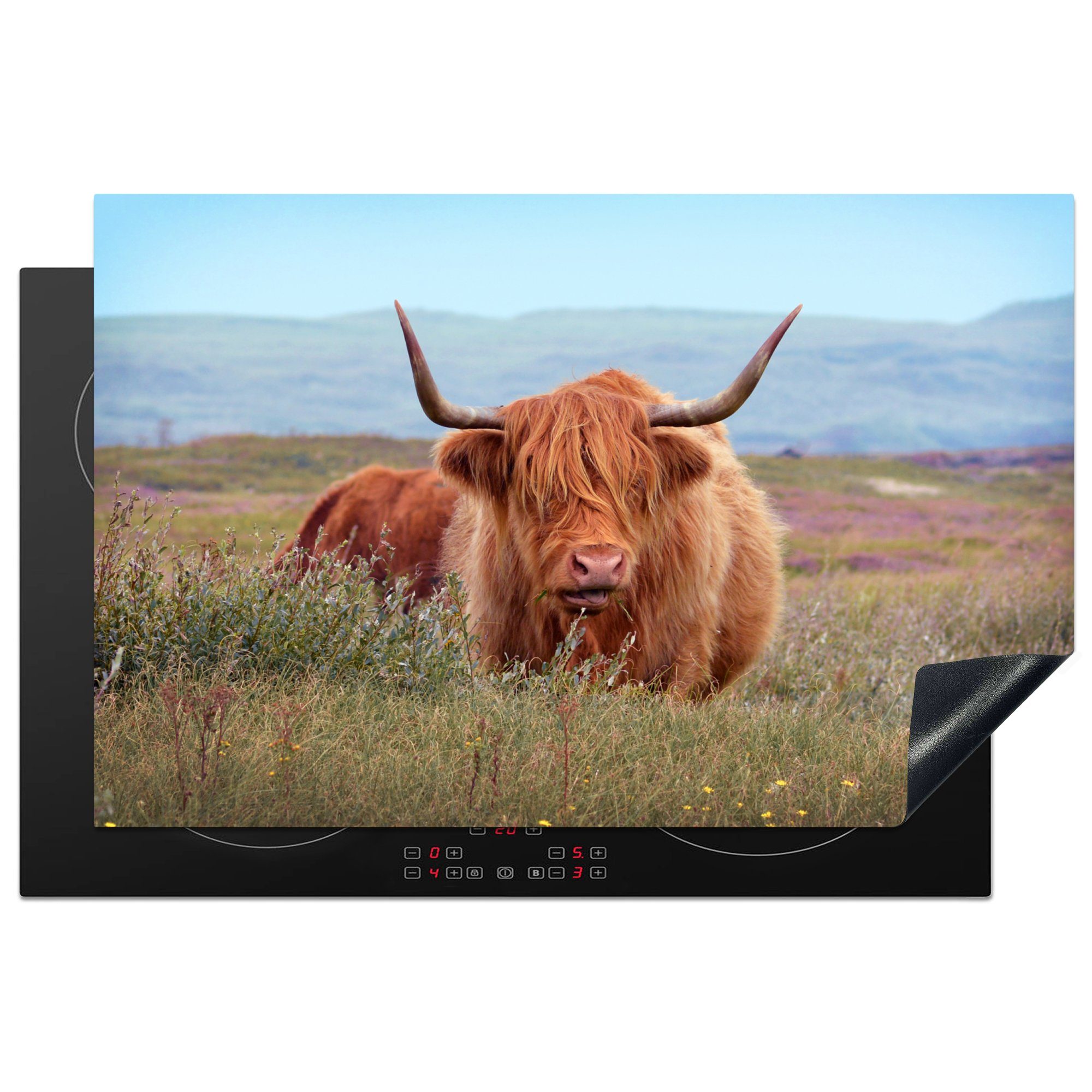 MuchoWow Herdblende-/Abdeckplatte Kühe - Schottische Highlander - Blumen, Vinyl, (1 tlg), 81x52 cm, Induktionskochfeld Schutz für die küche, Ceranfeldabdeckung