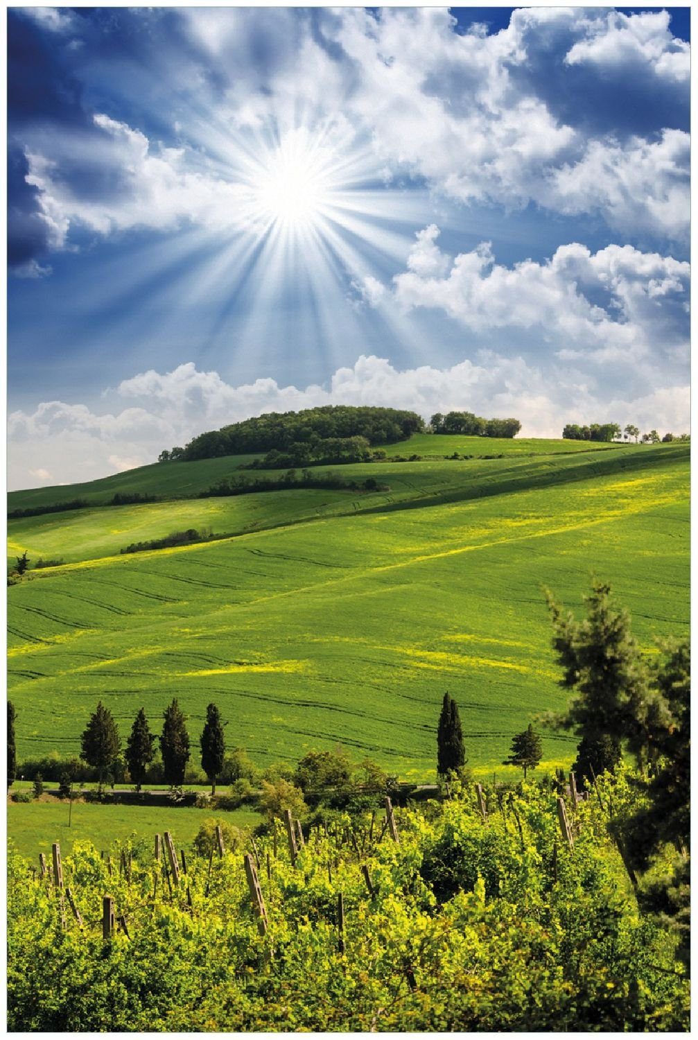 Wallario Poster, Strahlender Sonnenschein, in verschiedenen günstig online kaufen
