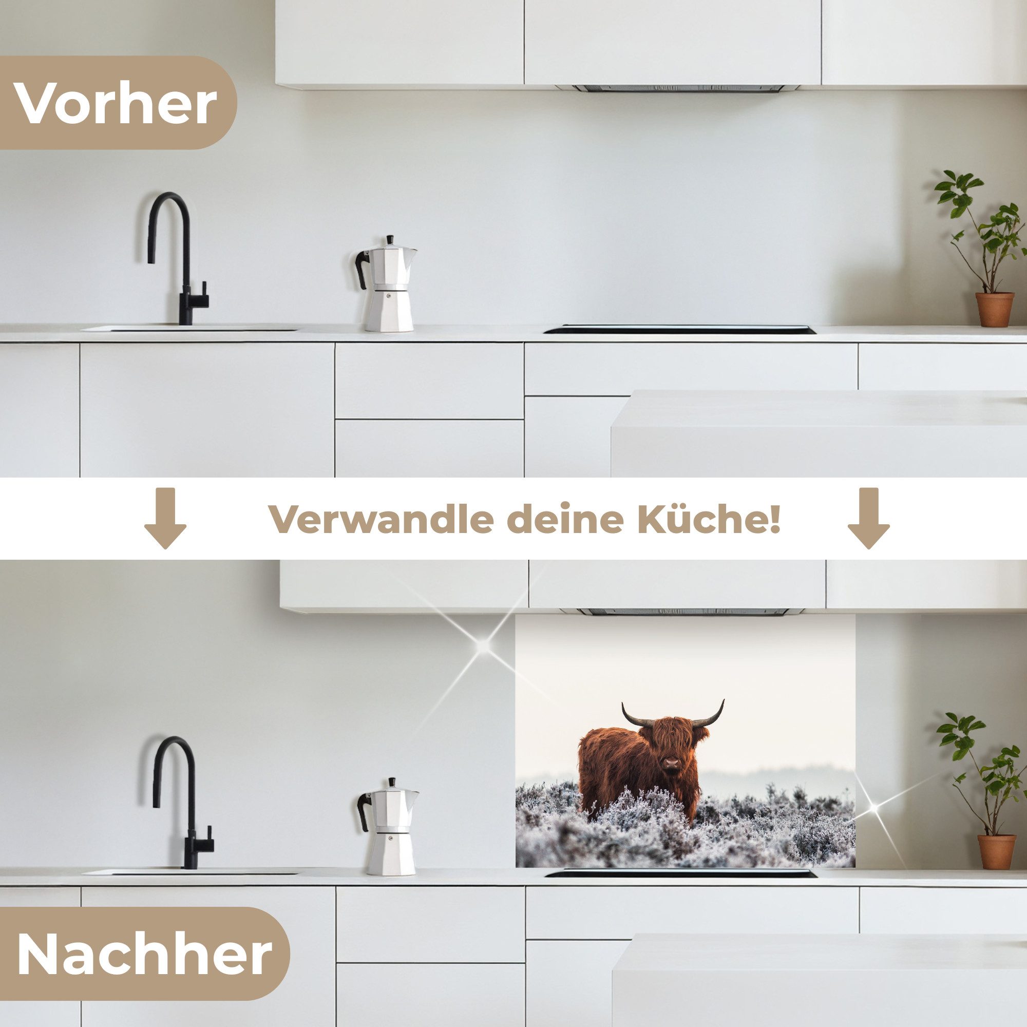 KitchenYeah Küchenrückwand selbstklebend Schottischer Hochländer - Tier - Natur - Weiß, (1-tlg), Spritzschutz, Küche, Rückwand, Küchenwand, Küchenfront, 80x60 cm