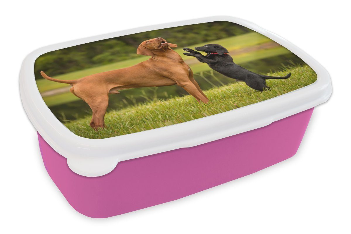 MuchoWow Lunchbox Ein Welpe spielt mit einem erwachsenen Hund, Kunststoff, (2-tlg), Brotbox für Erwachsene, Brotdose Kinder, Snackbox, Mädchen, Kunststoff rosa