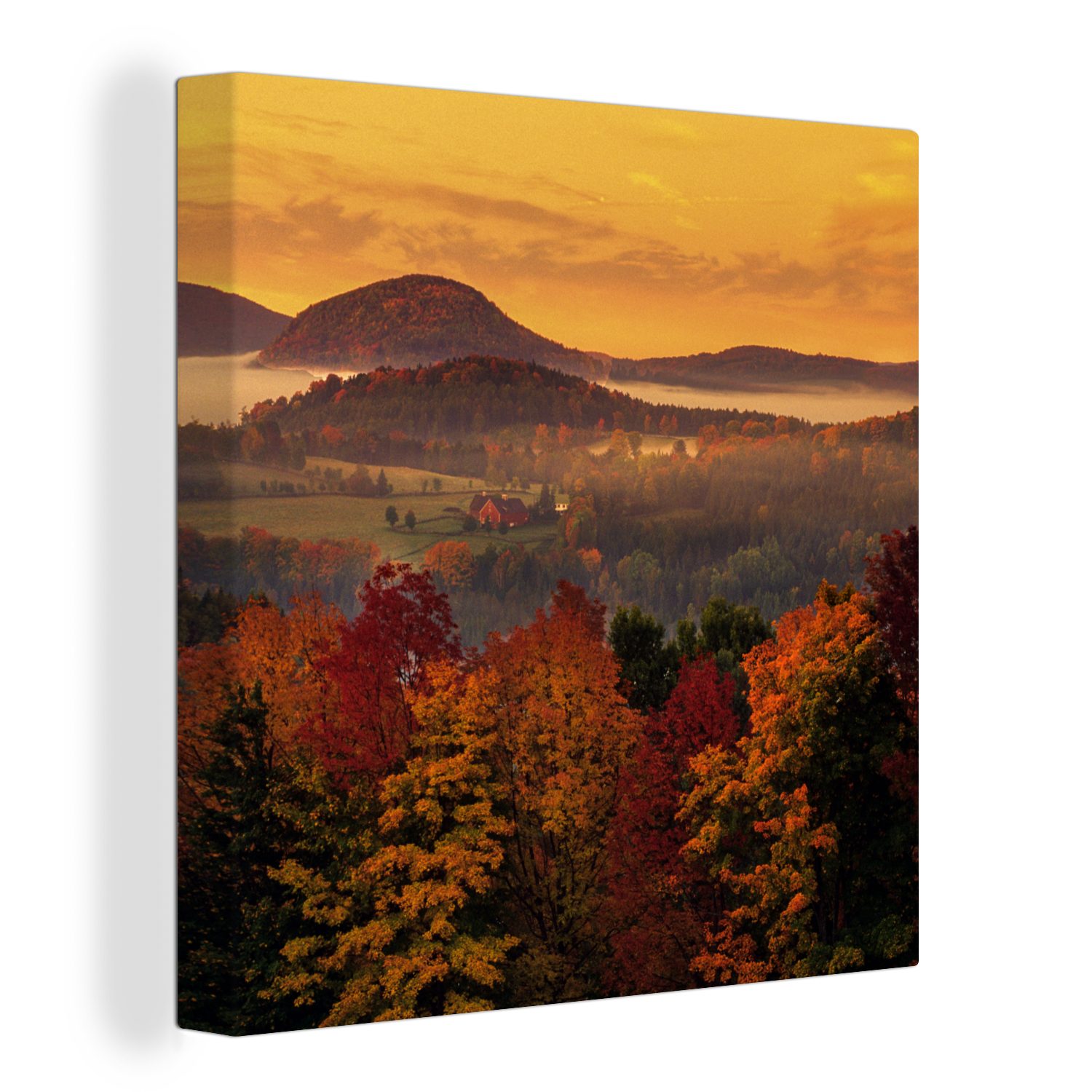 OneMillionCanvasses® Leinwandbild Blick auf mehrere Ahornbäume und einen orangefarbenen Himmel, (1 St), Leinwand Bilder für Wohnzimmer Schlafzimmer