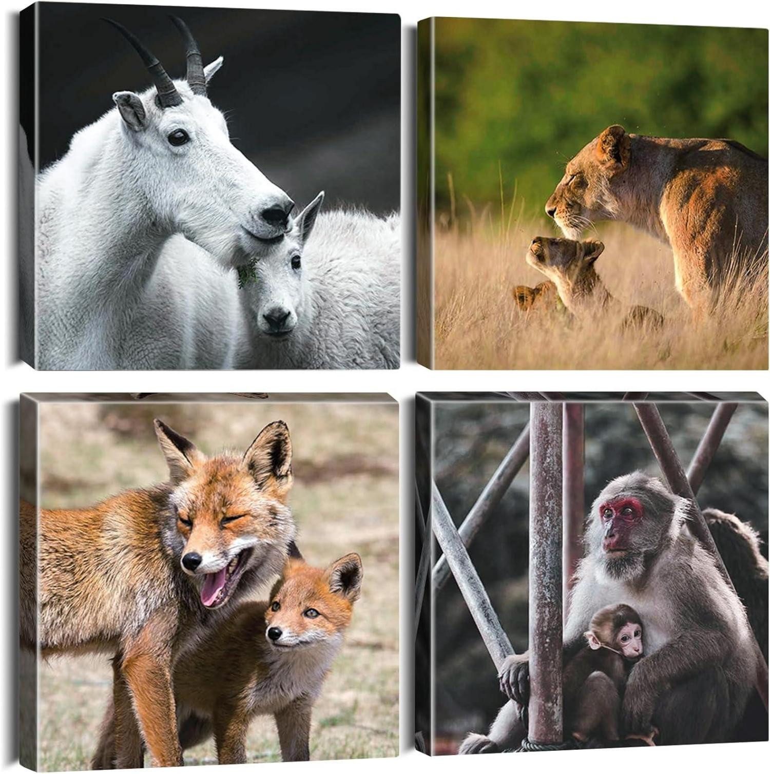 Mehrteilige Bilder 4er Set Leinwandbilder Tiere Afrikanische Savanne 30x30cm