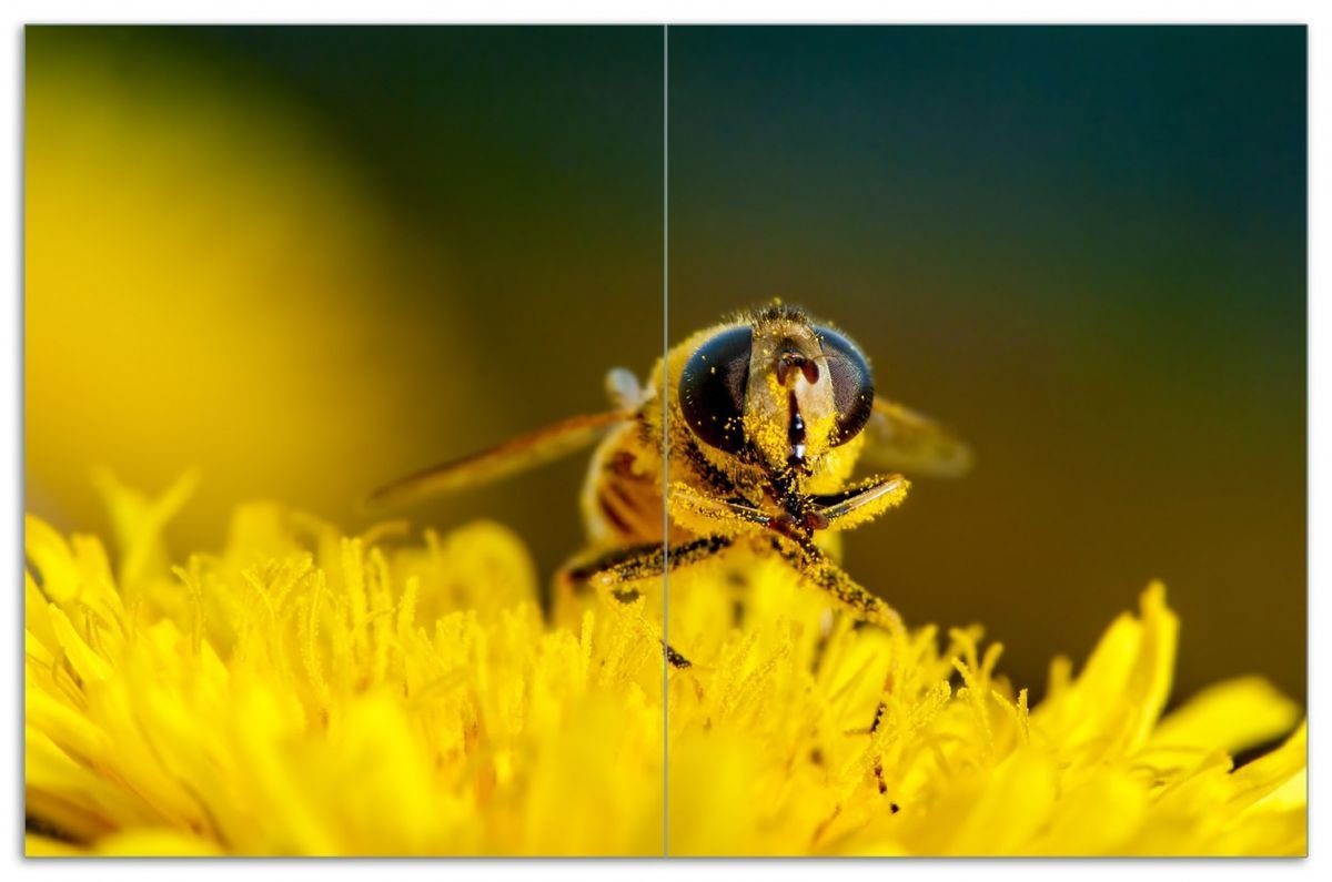 ESG-Sicherheitsglas, 5mm tlg., Herd-Abdeckplatte verschiedene Biene (Glasplatte, inkl. Größen Wallario sammelt Noppen), Blütenpollen, 2