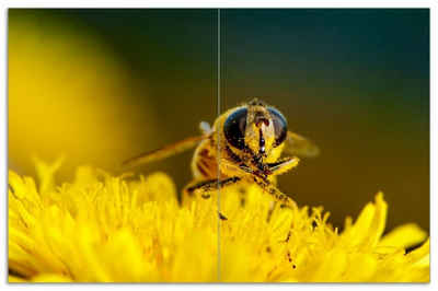 Wallario Herd-Abdeckplatte Biene sammelt Blütenpollen, ESG-Sicherheitsglas, (Glasplatte, 2 tlg., inkl. 5mm Noppen), verschiedene Größen