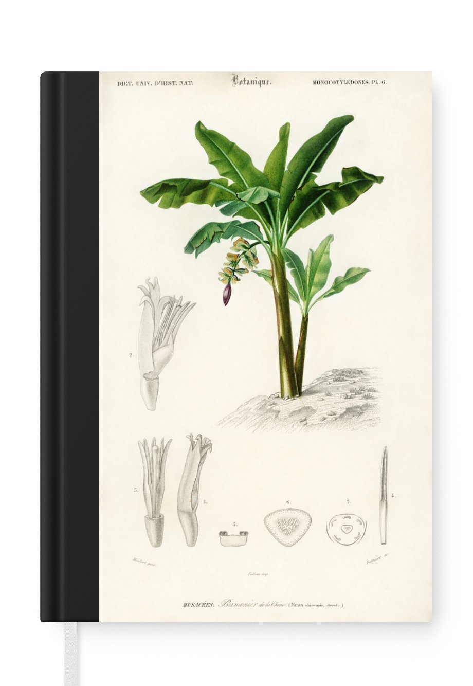 MuchoWow Notizbuch Pflanzen - Vintage - Blatt, Journal, Merkzettel, Tagebuch, Notizheft, A5, 98 Seiten, Haushaltsbuch