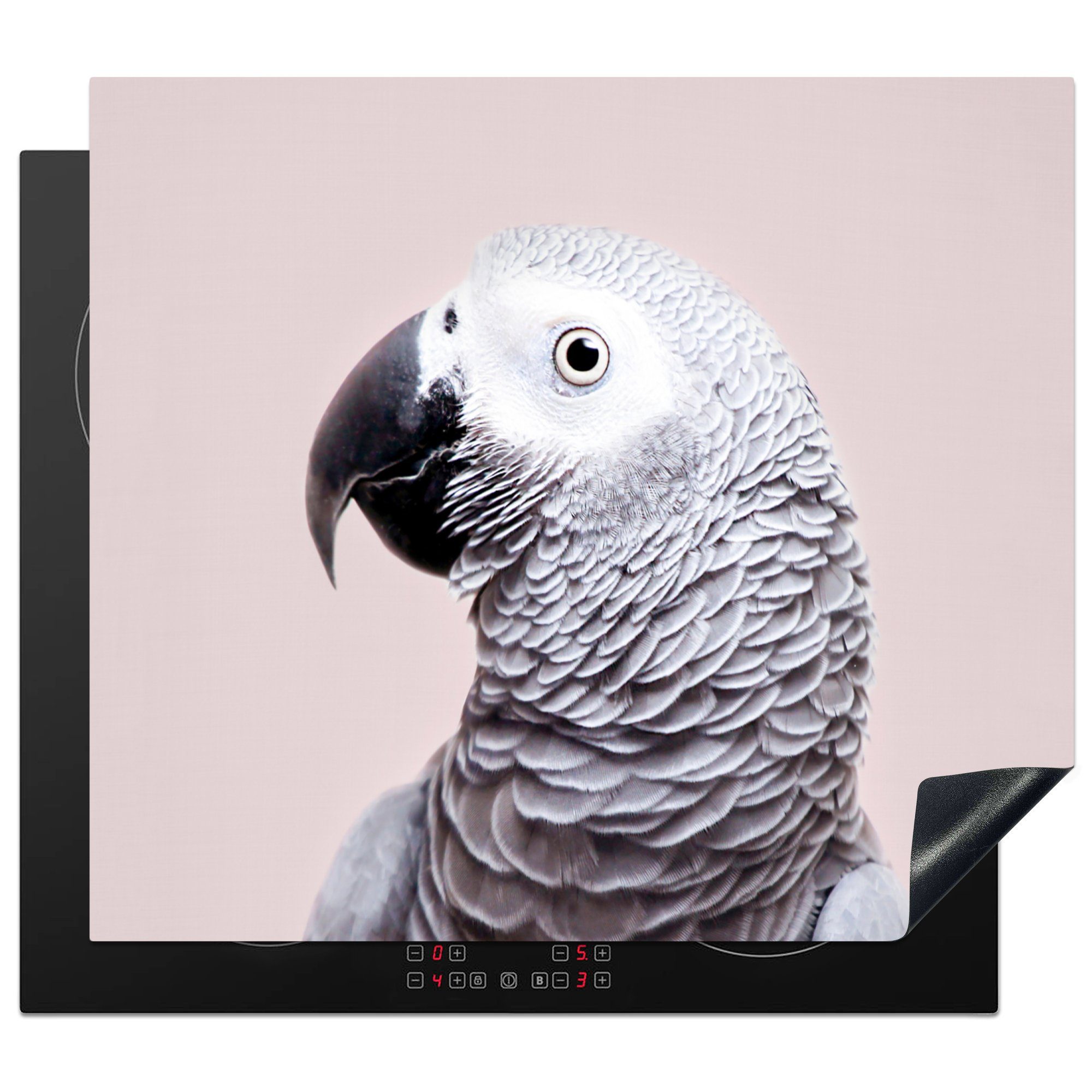 - - Mobile Natur, cm, nutzbar, Arbeitsfläche Papagei Vinyl, Herdblende-/Abdeckplatte 60x52 Tiere MuchoWow Grau Ceranfeldabdeckung (1 tlg), -