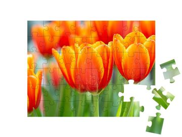 puzzleYOU Puzzle Tulpe: Blume und grünes Blatt, 48 Puzzleteile, puzzleYOU-Kollektionen Blüten, Blumen & Pflanzen
