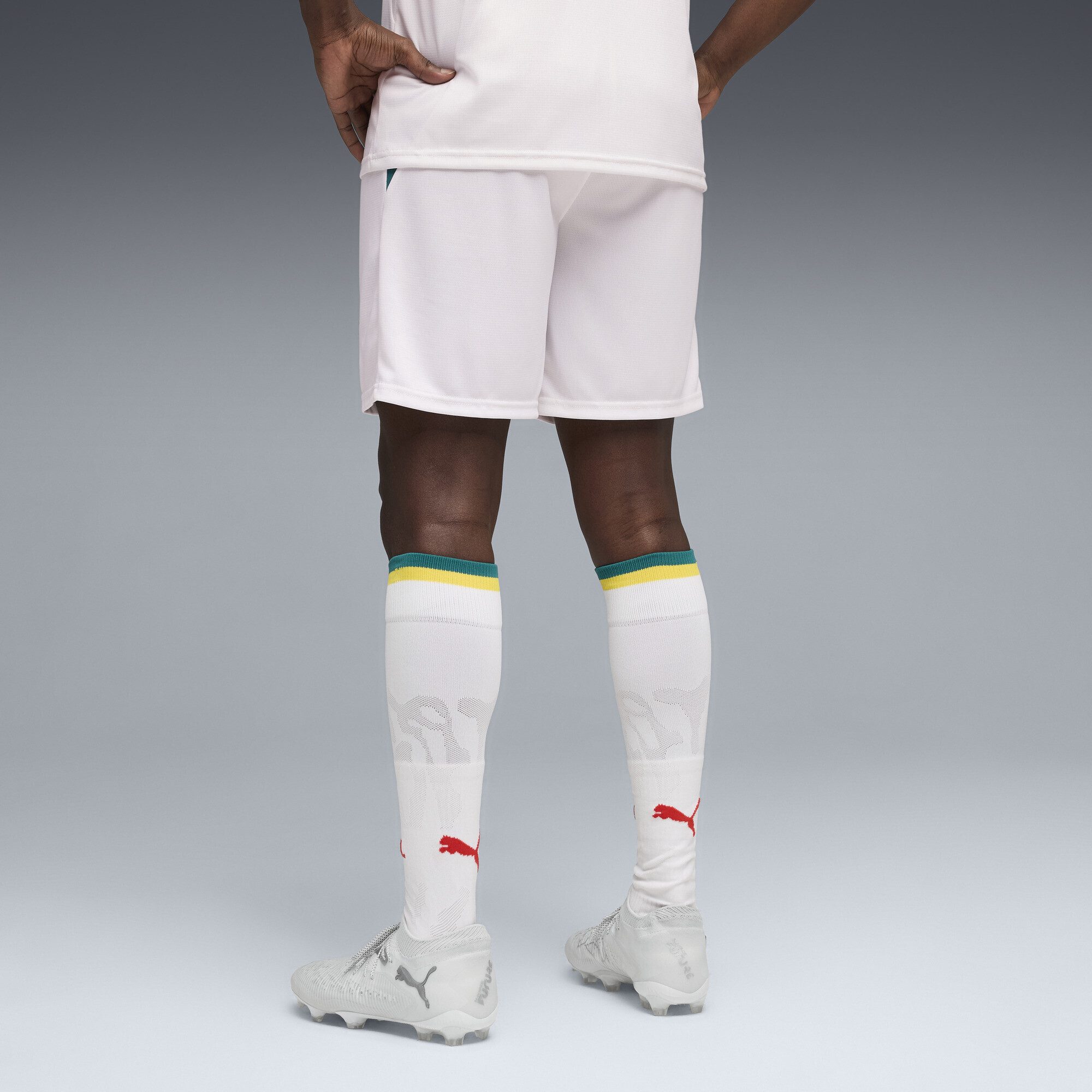 PUMA Sporthose Senegal Shorts Herren