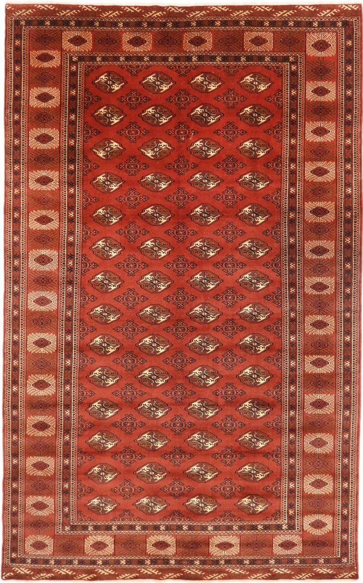 Orientteppich Turkaman 240x388 Handgeknüpfter Orientteppich / Perserteppich, Nain Trading, rechteckig, Höhe: 6 mm