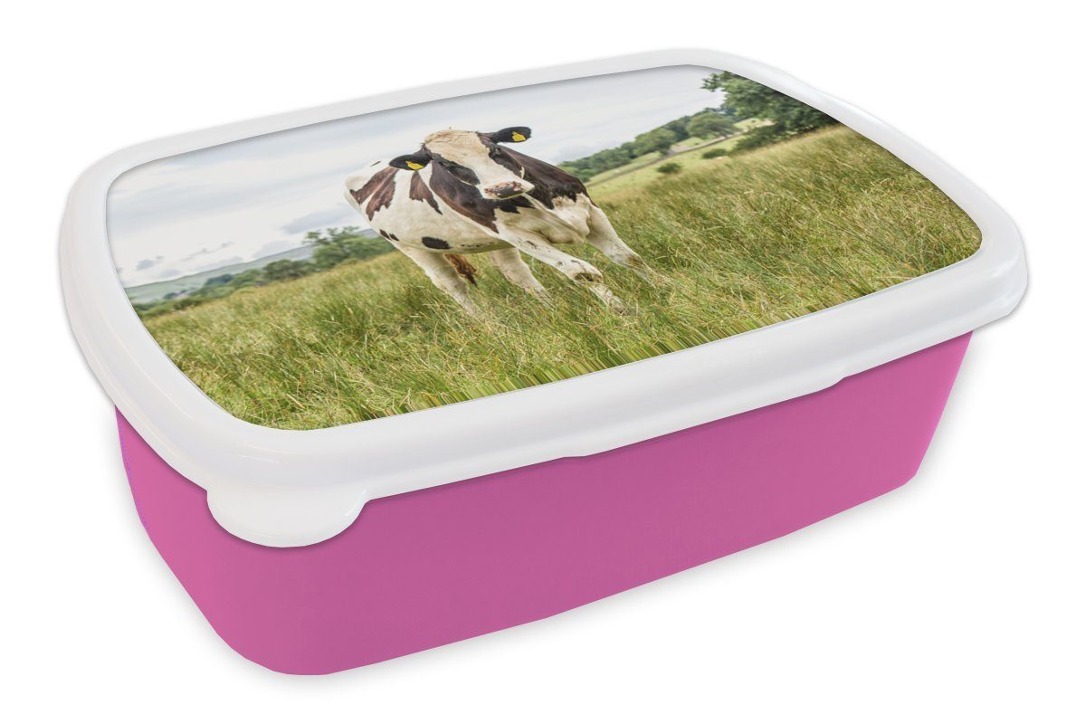 - rosa Gras Brotbox Kinder, MuchoWow Erwachsene, Landschaft, Mädchen, Snackbox, für Kunststoff Kuh Kunststoff, Brotdose (2-tlg), - Lunchbox