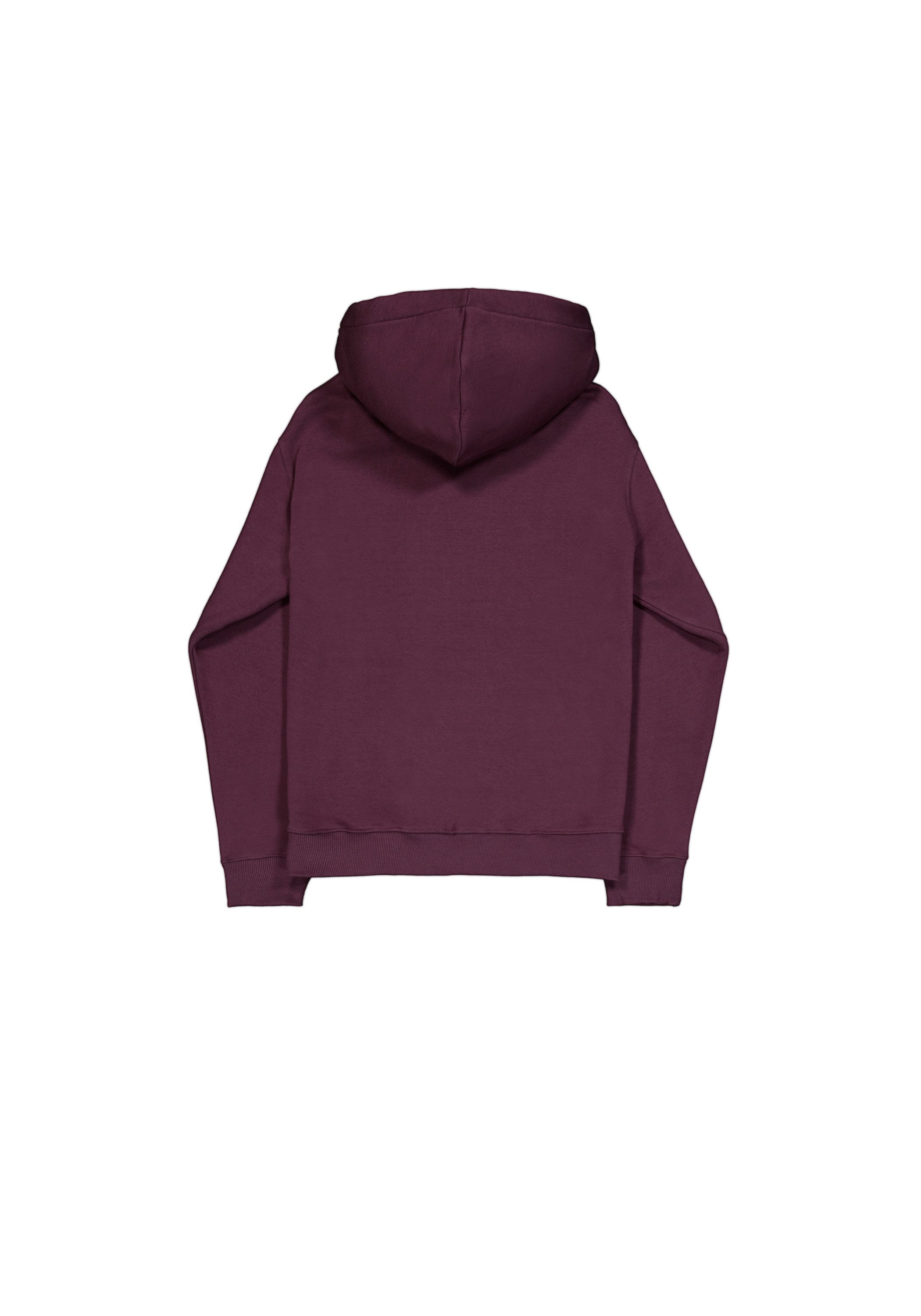 Alpha Industries Hoodie Alpha Puff Print günstig online kaufen