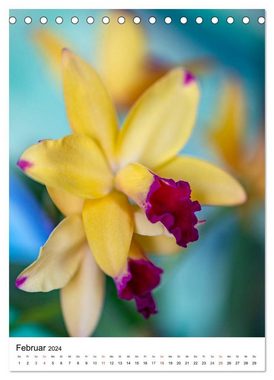 CALVENDO Wandkalender Orchideen (Tischkalender 2024 DIN A5 hoch), CALVENDO Monatskalender