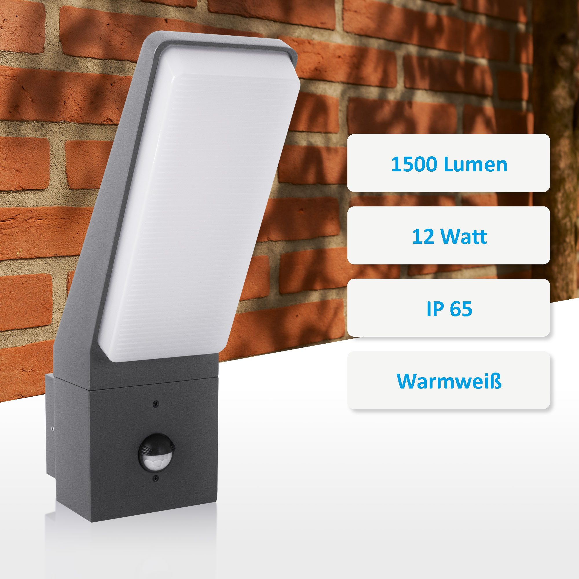 Maxkomfort Außen-Wandleuchte EVA 2305 Wandleuchte oder günstig online kaufen