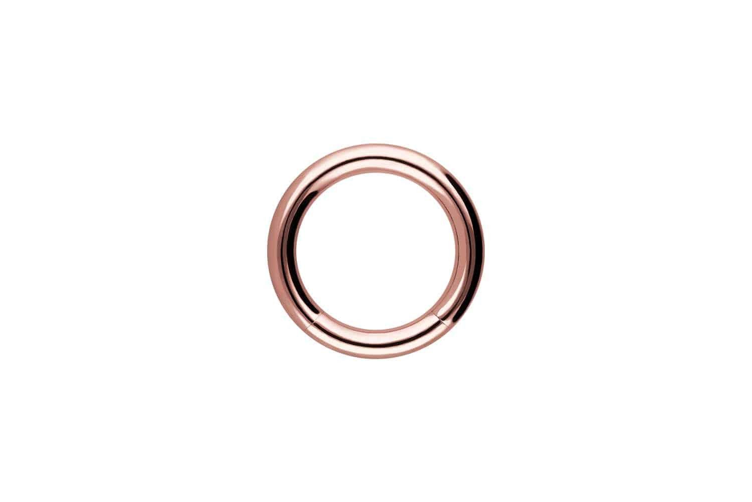 PIERCINGLINE Nasenpiercing Chirurgenstahl Segmentring (Klemm-Ringe / günstig online kaufen