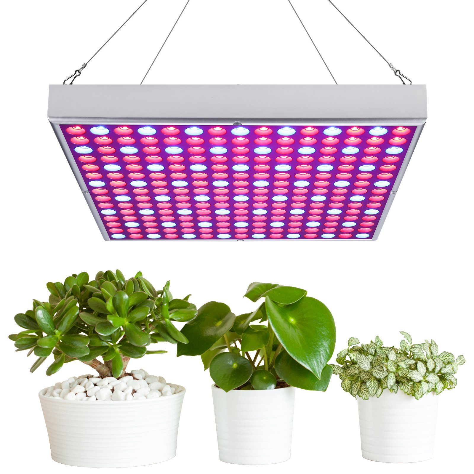 TolleTour Pflanzenlampe LED Pflanzenlampe 15W Lampe Rot Blau, Grow Flower, Greenhouse und Vollspektrum 225 & Tent Veg Grow