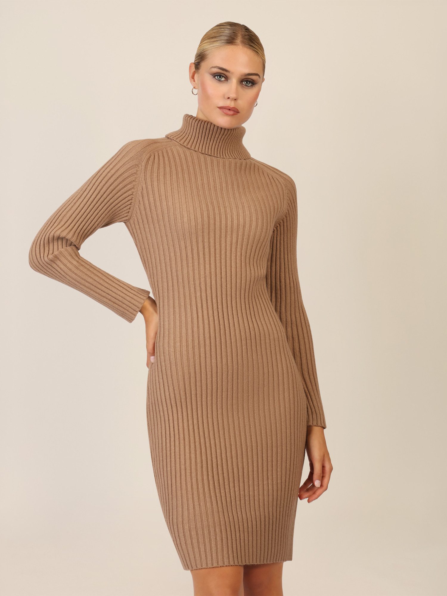 Apart Strickkleid mit Rollkragen günstig online kaufen