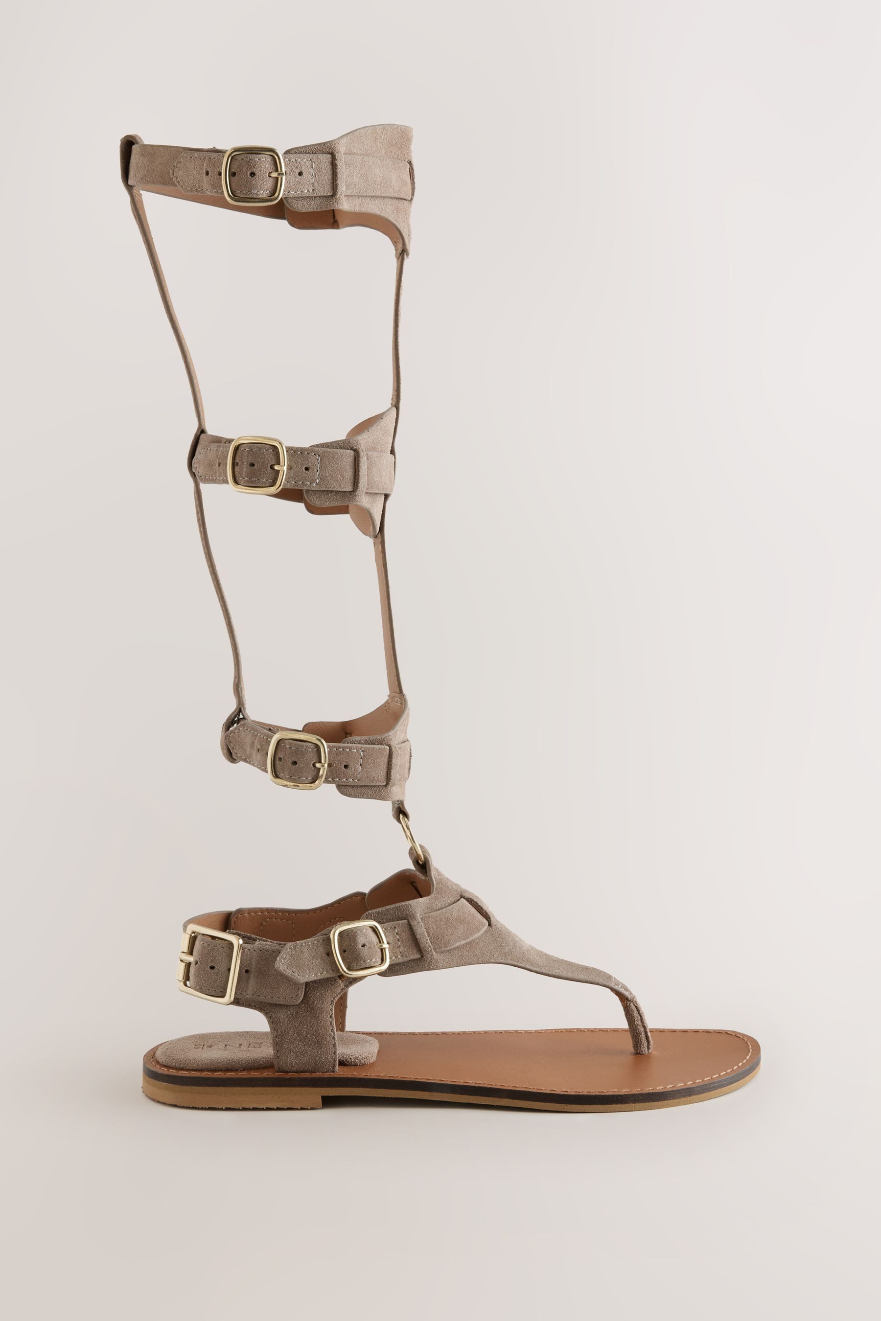 Next Kniehohe Römersandalen Römersandale (1-tlg)