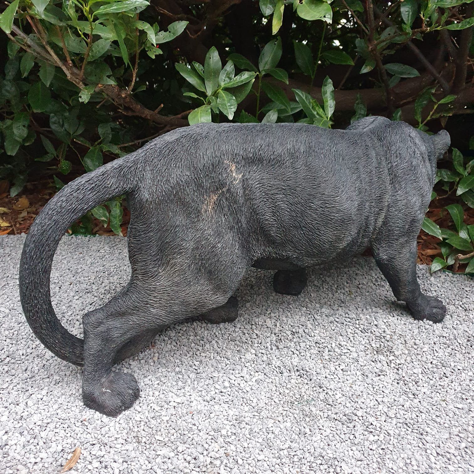 Aspinaworld Gartenfigur Puma Figur 76 wetterfest cm