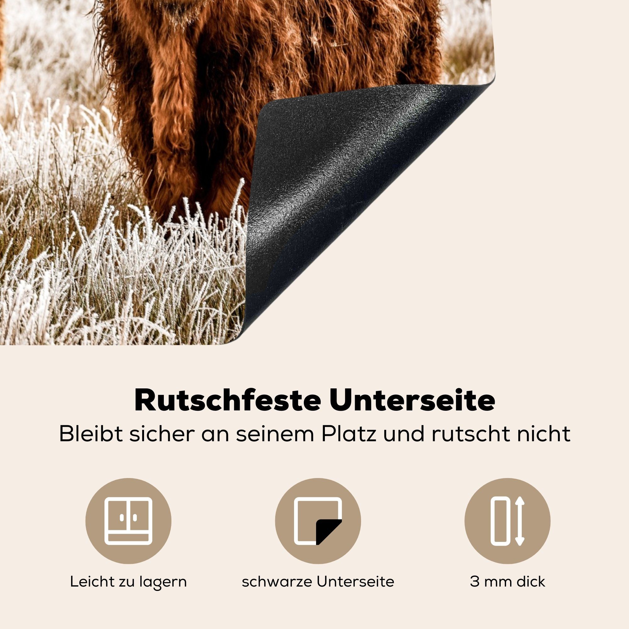 - Kuh tlg), küche, die Induktionsmatte MuchoWow Ceranfeldabdeckung für 59x52 Vinyl, (1 Herdblende-/Abdeckplatte Schottischer Highlander cm, Tiere, -