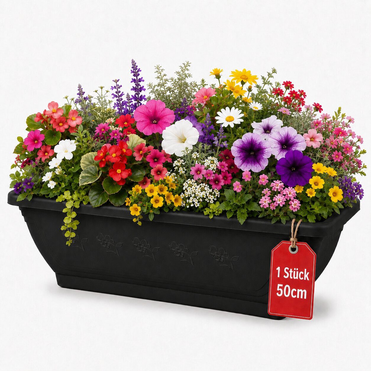 BigDean Blumenkasten 50cm Anthrazit mit Untersetzer & Wasserspeicher (1 St), Robuster Kunststoff, UV-Beständig, Frostsicher, Made in Europe
