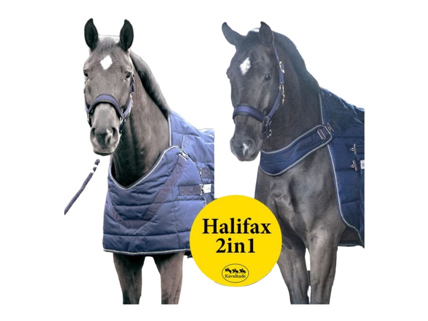 Kavalkade Führanlagendecke "Halifax" 2in1 Stall- und Führanlagendecke 200g