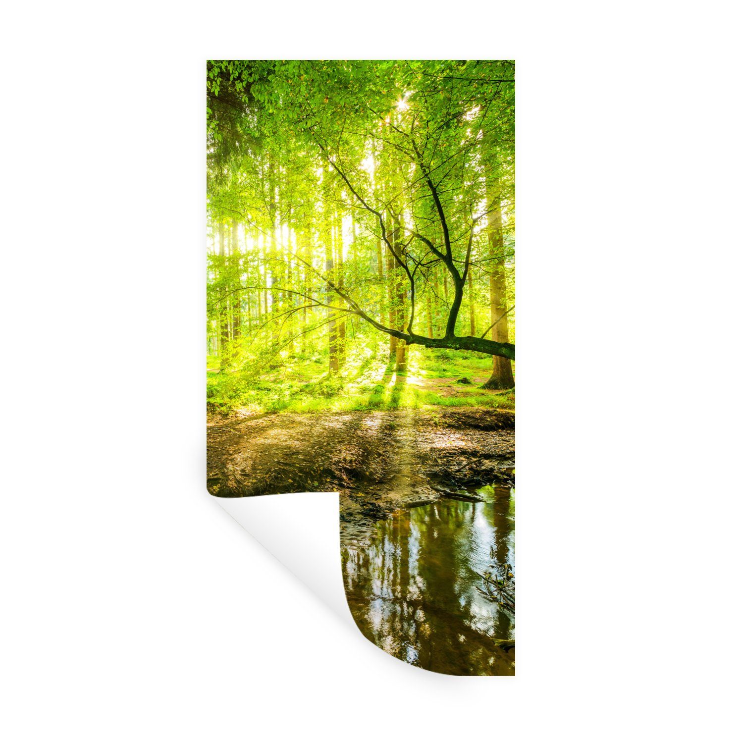 MuchoWow Wandsticker Wald - Landschaft - Wasser - Bäume - Sonne - Grün - Natur (1 St), Wanddeko, Aufkleber für die Schlafzimmer, Wohnzimmer, Wandtattoo