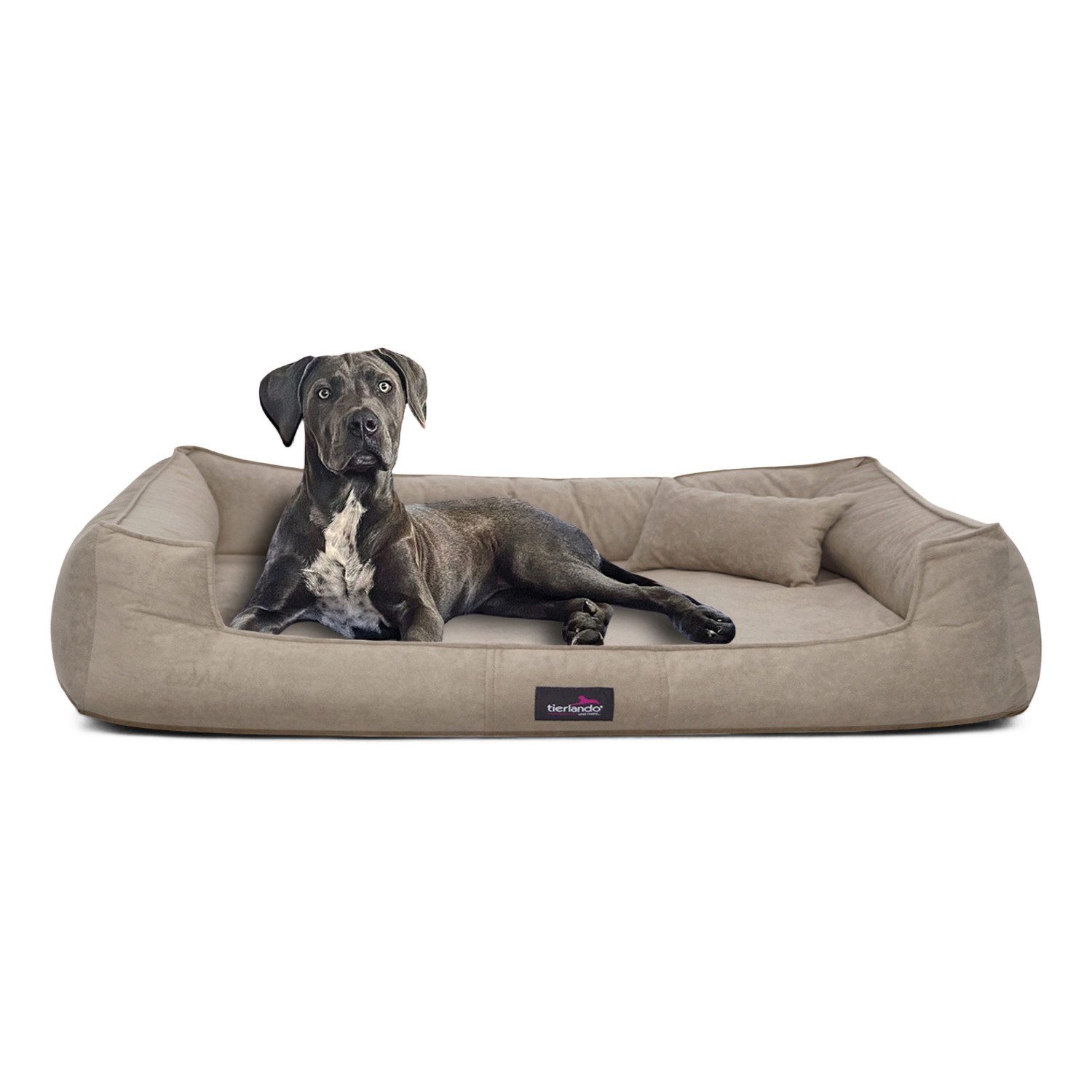 tierlando® Tierbett Orthopädisches Hundebett BRUCE VELOURS Waschbar Große Hunde, orthopdisch, waschbar, samtweich