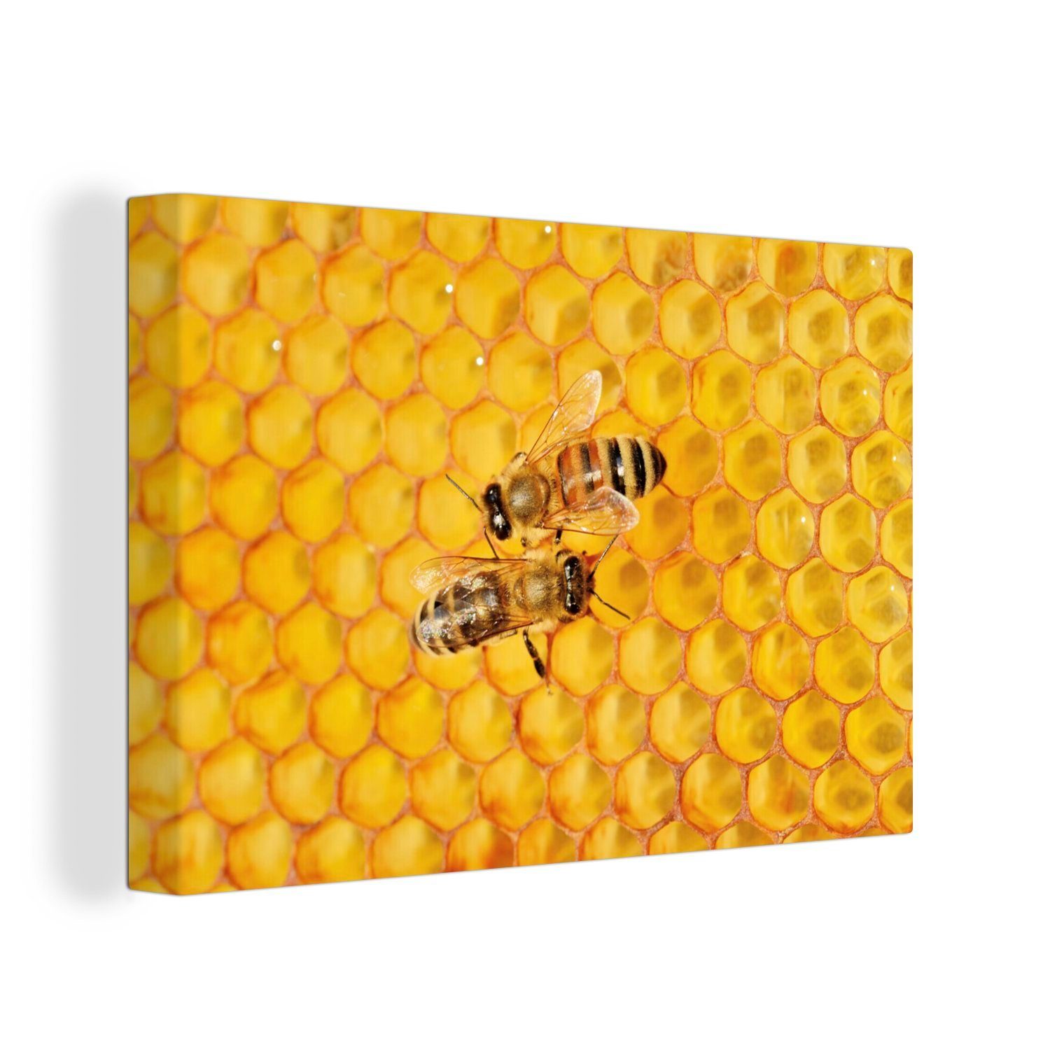 OneMillionCanvasses® Leinwandbild Zwei Honigbienen auf einer Honigwabe, (1 St), Wandbild Leinwandbilder, Aufhängefertig, Wanddeko, 30x20 cm