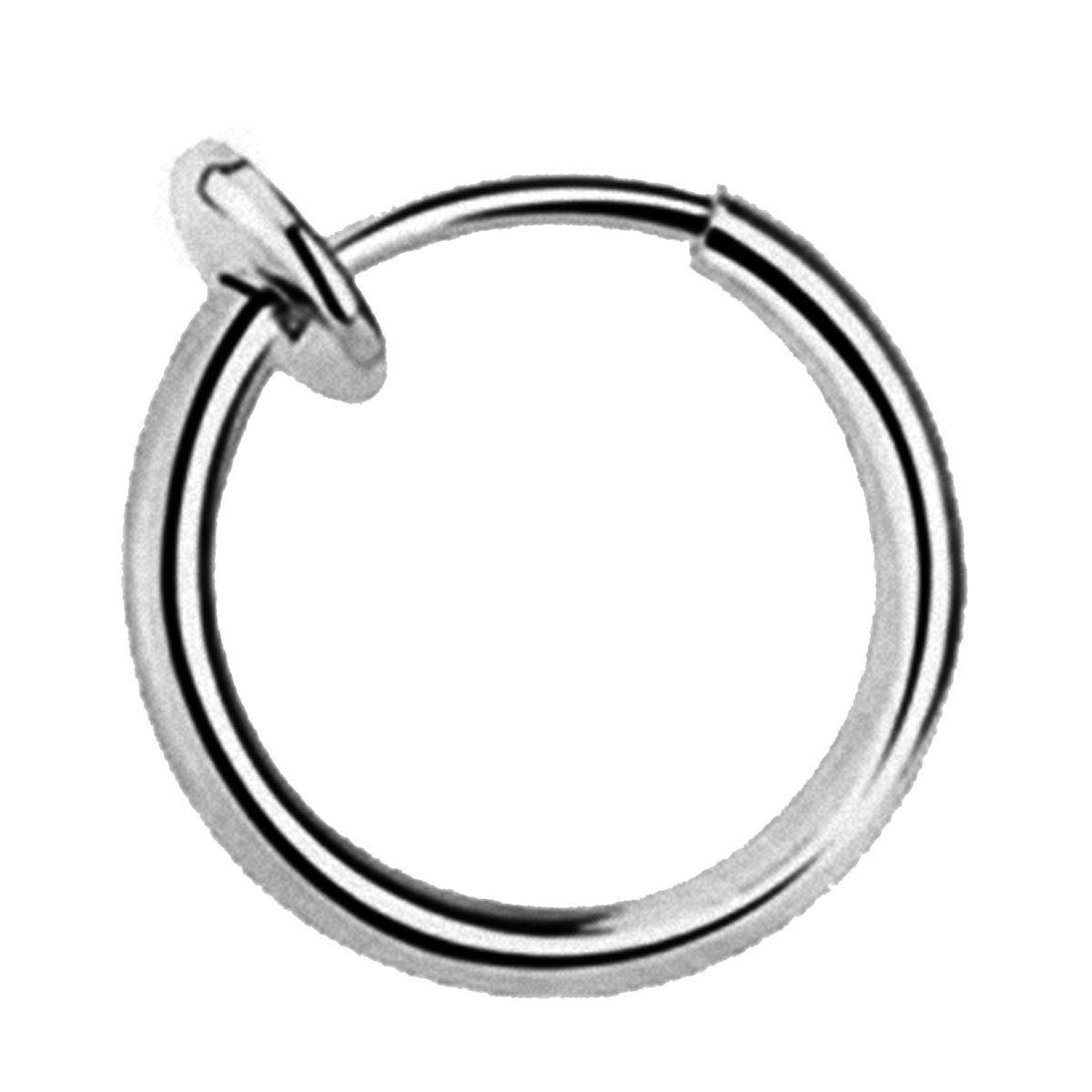 Nasenpiercing Piercing Septum Nase Lippe Ohr Helix Tragus