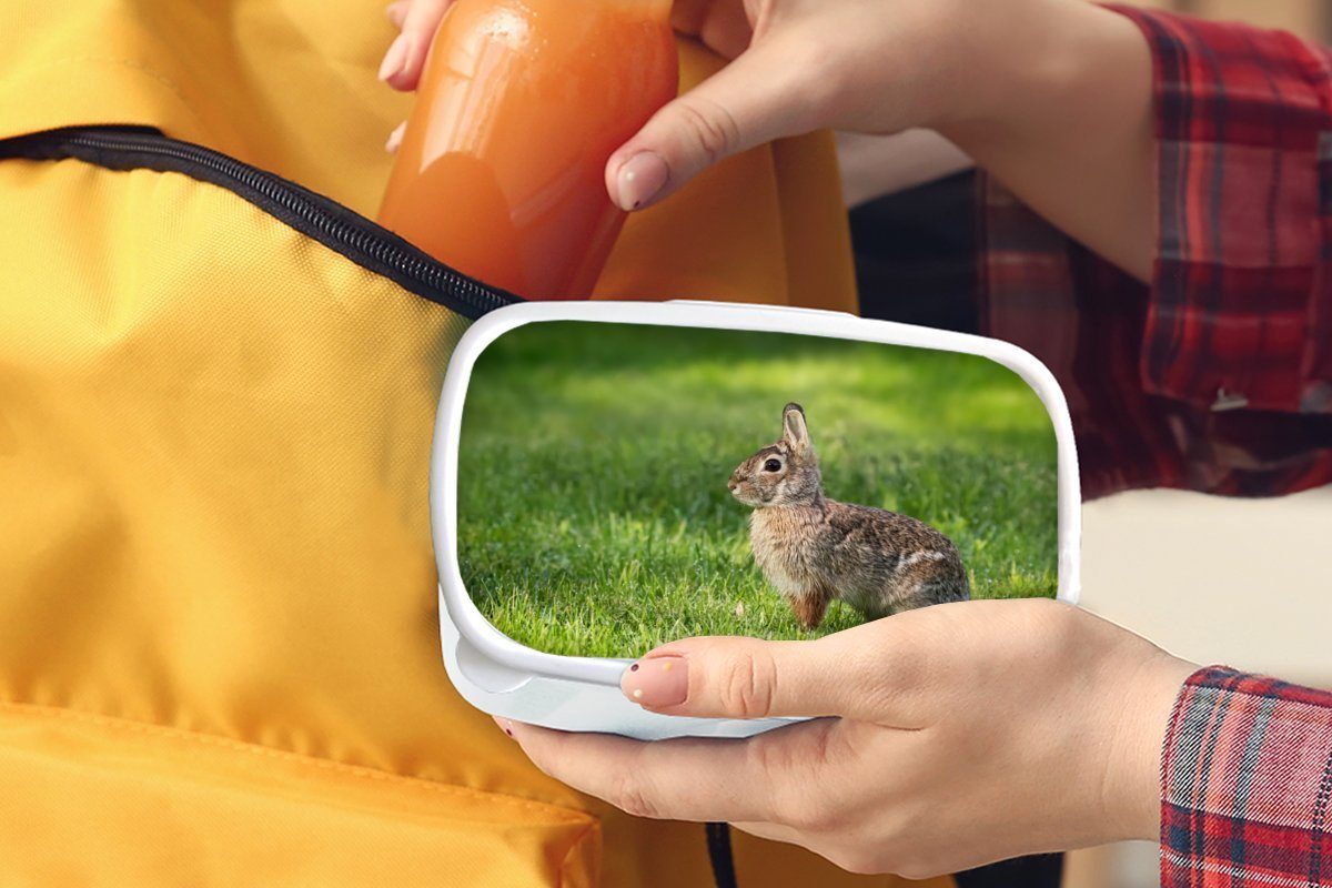 MuchoWow Lunchbox Kaninchen weiß Brotdose, Mädchen und - Jungs Kunststoff, Brotbox Tier, - Erwachsene, für Gras und (2-tlg), für Kinder