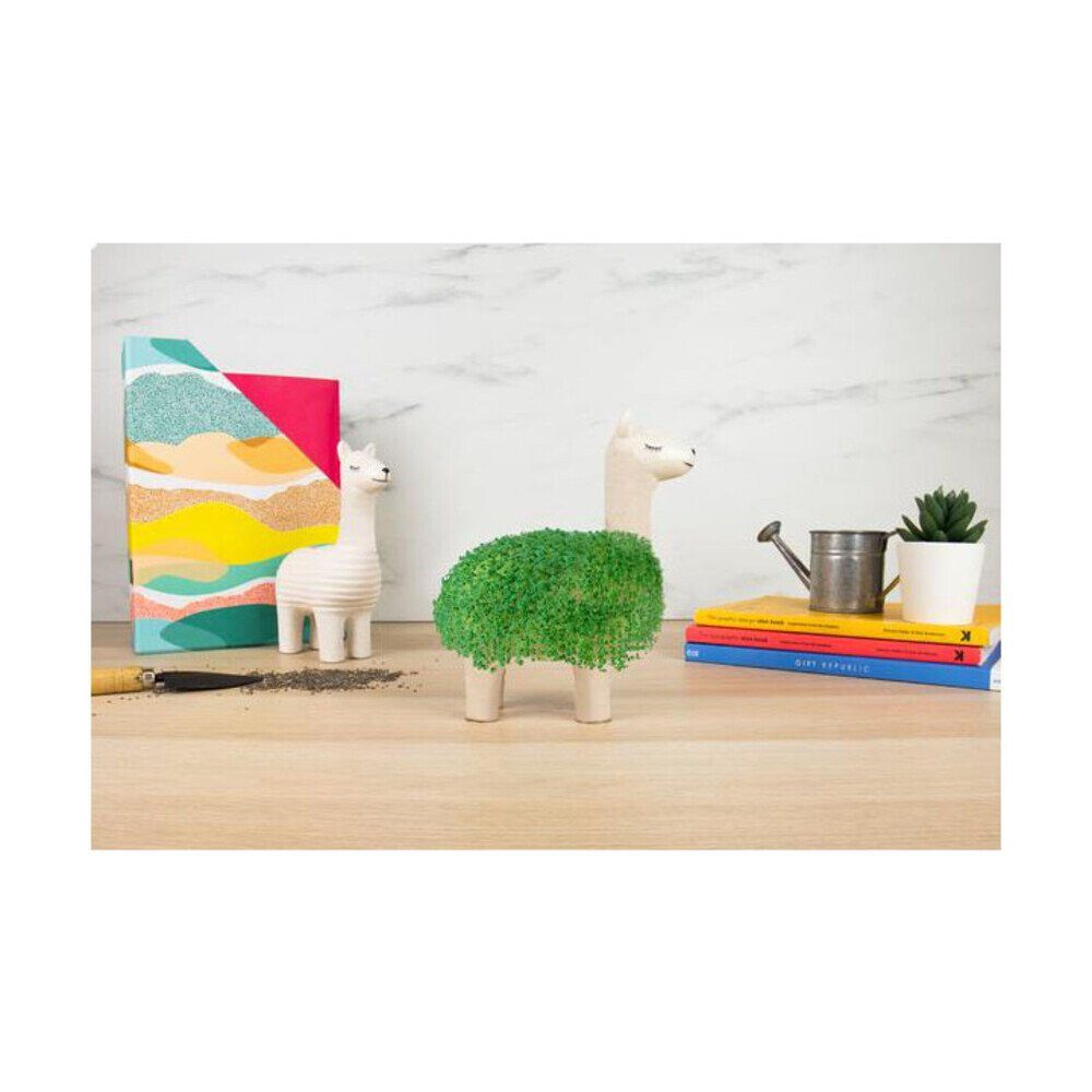 GIFT REPUBLIC Kräutersamen Green Lama 18 cm Chia, Green Lama, 2-tlg., 12,00cm, Keramik – Bild 3 von 3