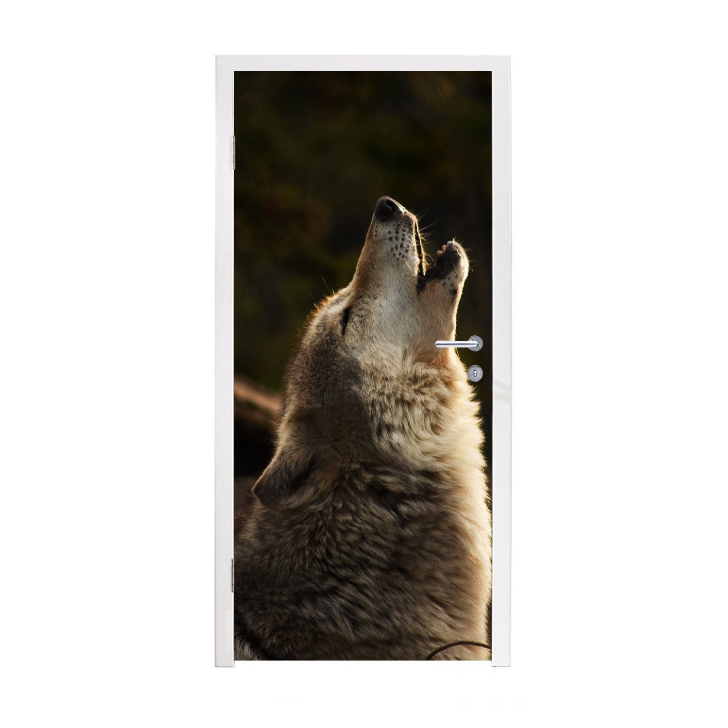 MuchoWow Türtapete Wolf - Grau - Tiere, Matt, bedruckt, (1 St), Fototapete für Tür, Türaufkleber, 75x205 cm