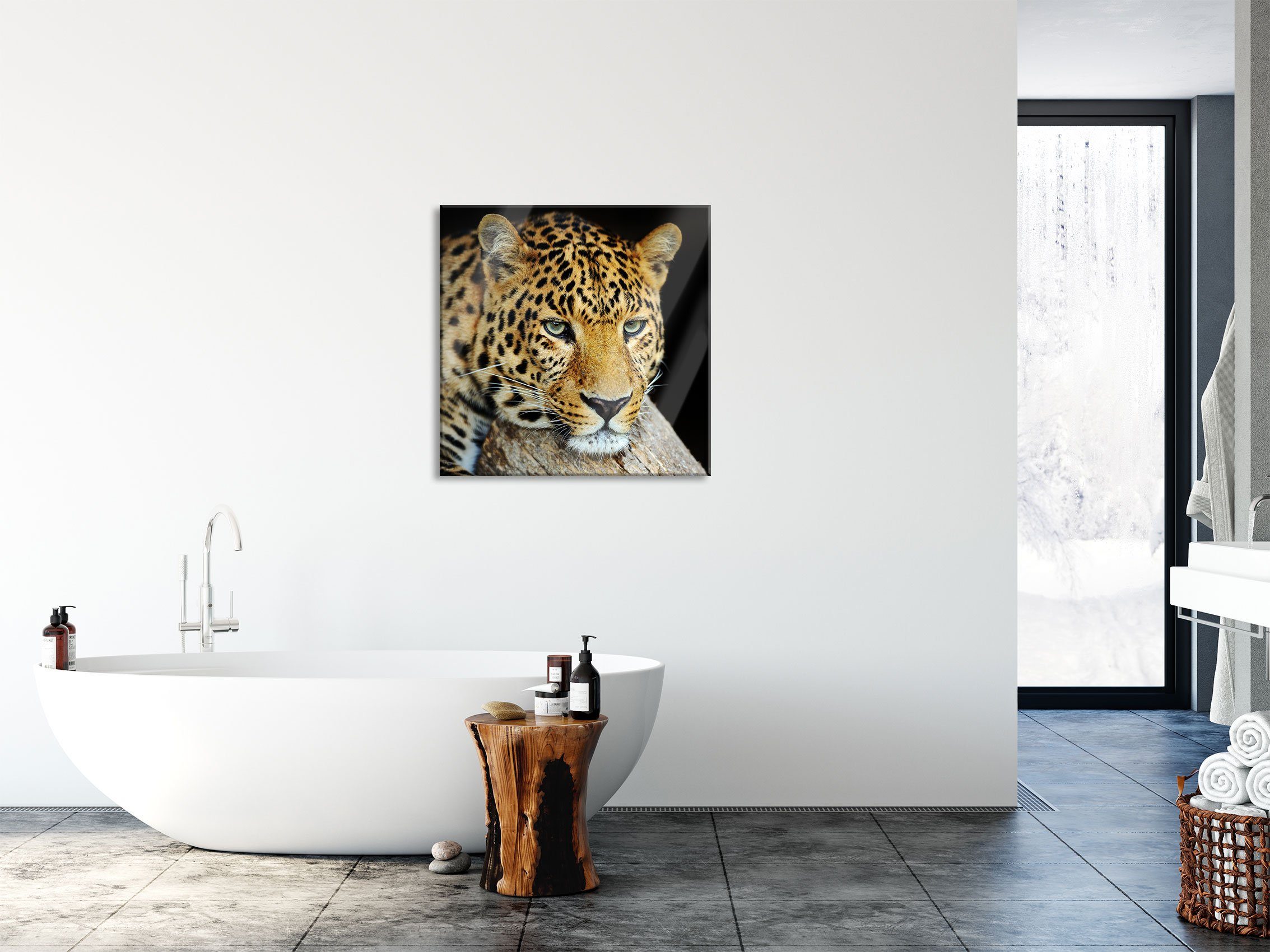Glasbild St), Echtglas, Pixxprint inkl. Glasbild Ruhiger (1 und Aufhängungen Leopard, aus Abstandshalter Leopard Ruhiger