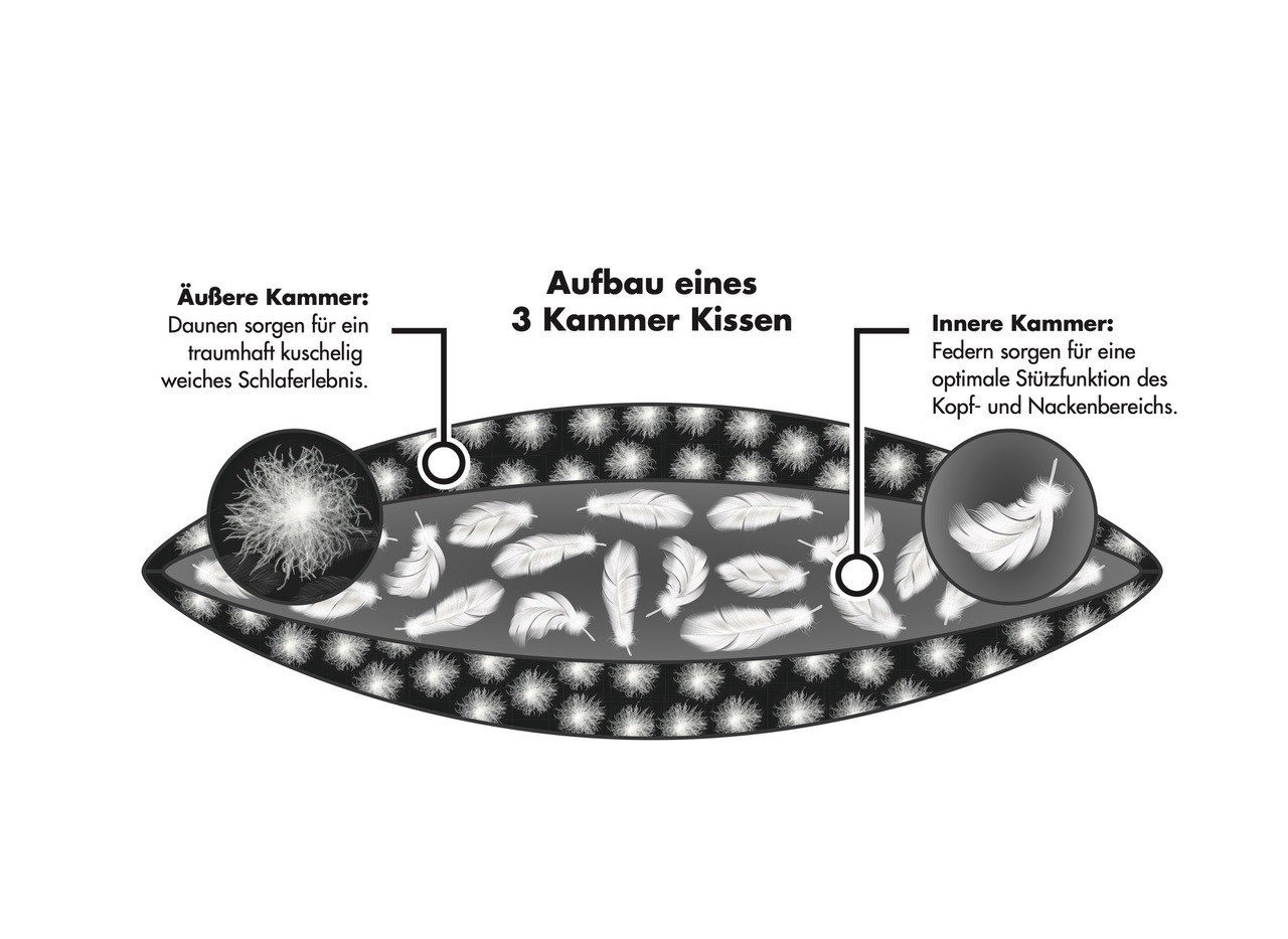 KÜNSEMÜLLER Daunenkissen 3-Kammer Kopfkissen Canada, 80x80 günstig online kaufen