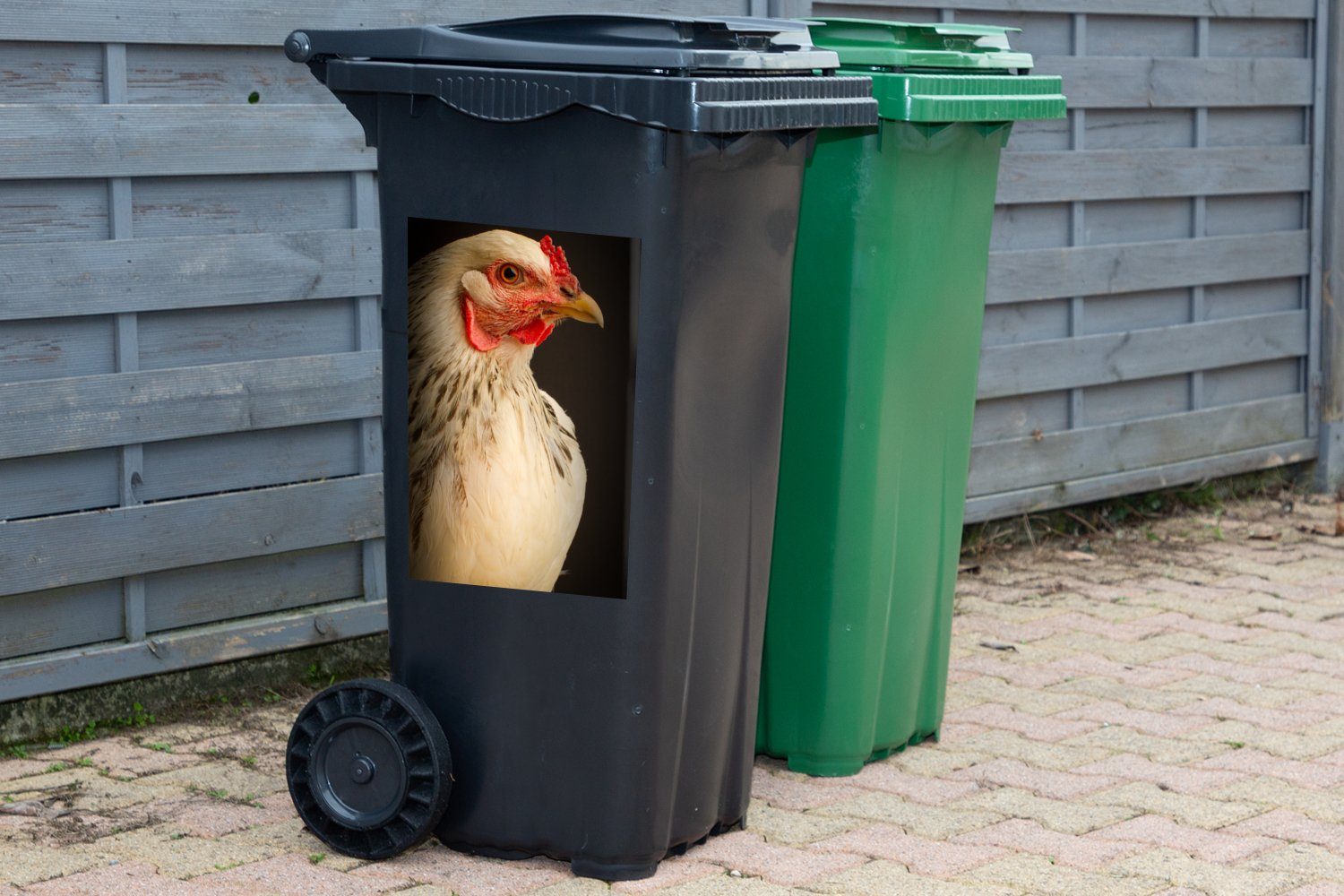 MuchoWow Wandsticker Brahma-Huhn vor Mülleimer-aufkleber, einem Container, Hintergrund schwarzen Mülltonne, Abfalbehälter St), Sticker, (1
