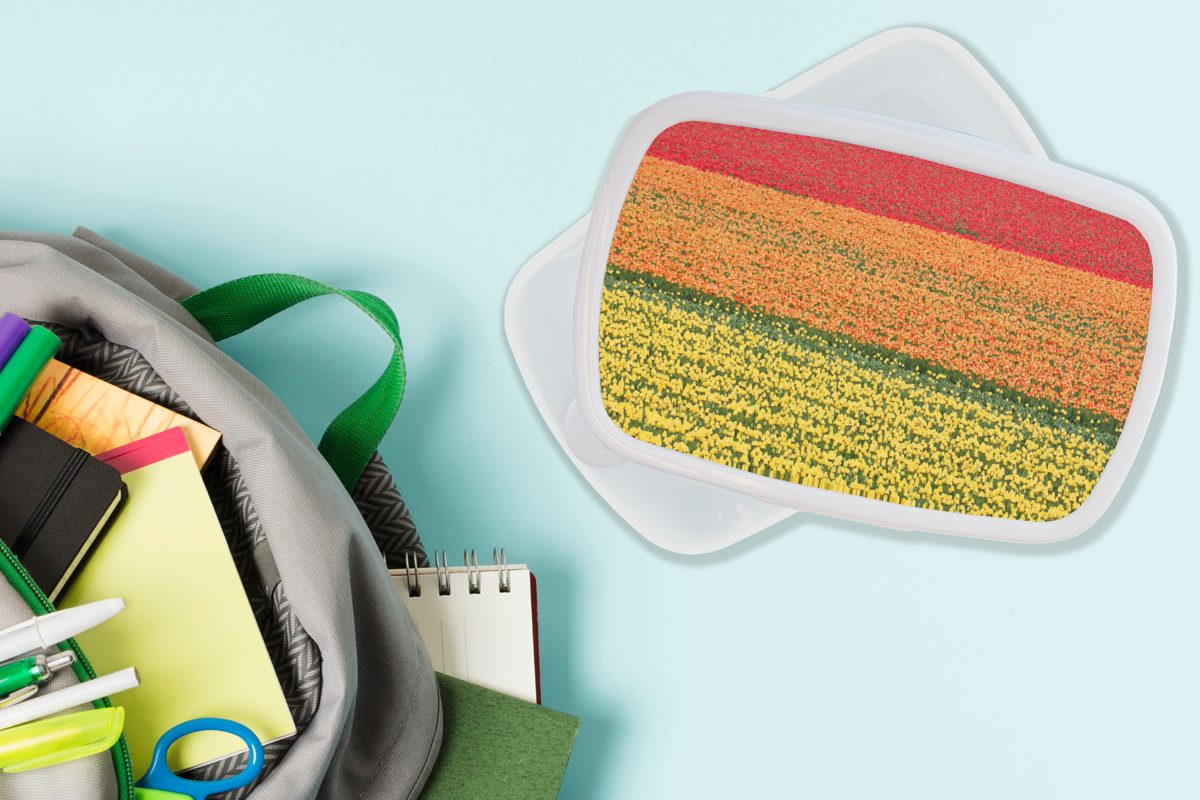 MuchoWow Lunchbox Tulpenfelder auf und Brotbox für Kinder den Erwachsene, Brotdose, Niederlanden, Jungs Mädchen für und Keukenhof weiß dem (2-tlg), in Kunststoff