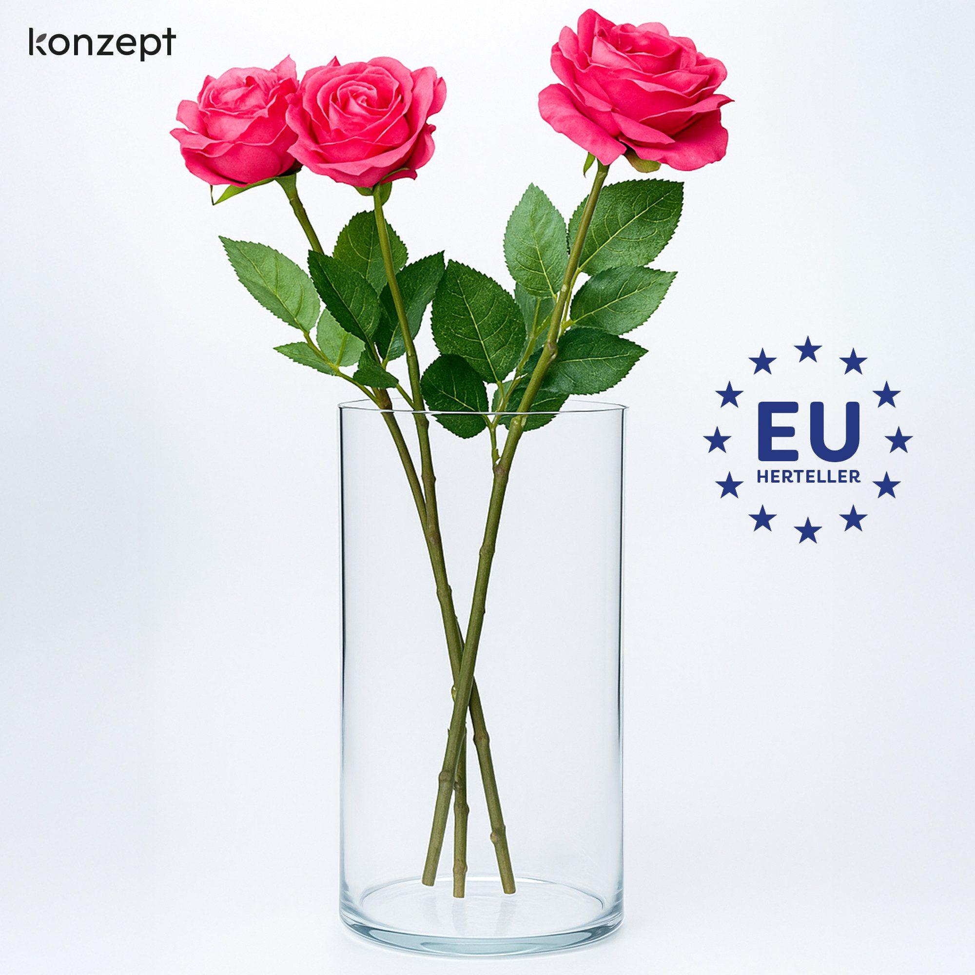 KONZEPT Tischvase Zylinder Glasvase (16 cm, H:30 cm), große Vase Glas (1 St), moderne Blumenvase, transparente Glaszylinder, Glasvase für Blumen – Bild 5 von 5