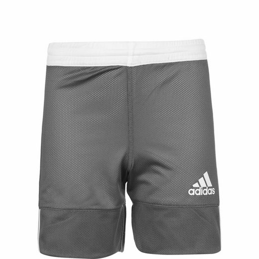 adidas Performance Funktionsshorts »3G Speed Reversible«