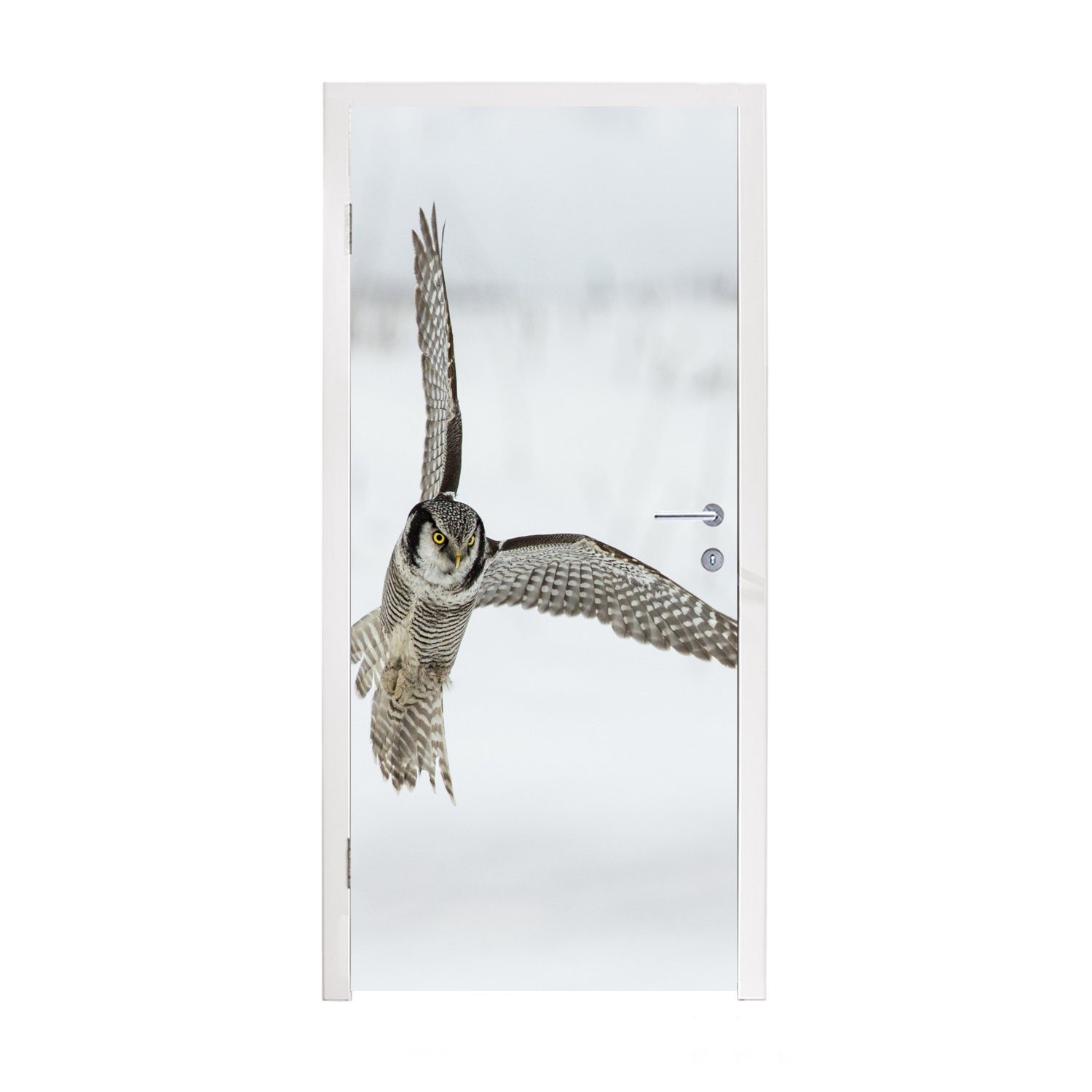MuchoWow Türtapete Sperber landet im Schnee, Matt, bedruckt, (1 St), Fototapete für Tür, Türaufkleber, 75x205 cm