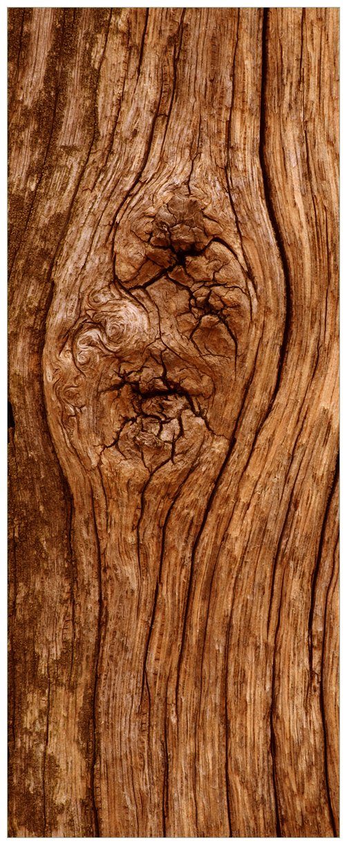 Wallario Wandfolie, Holzstamm mit Asteinschluss, in günstig online kaufen