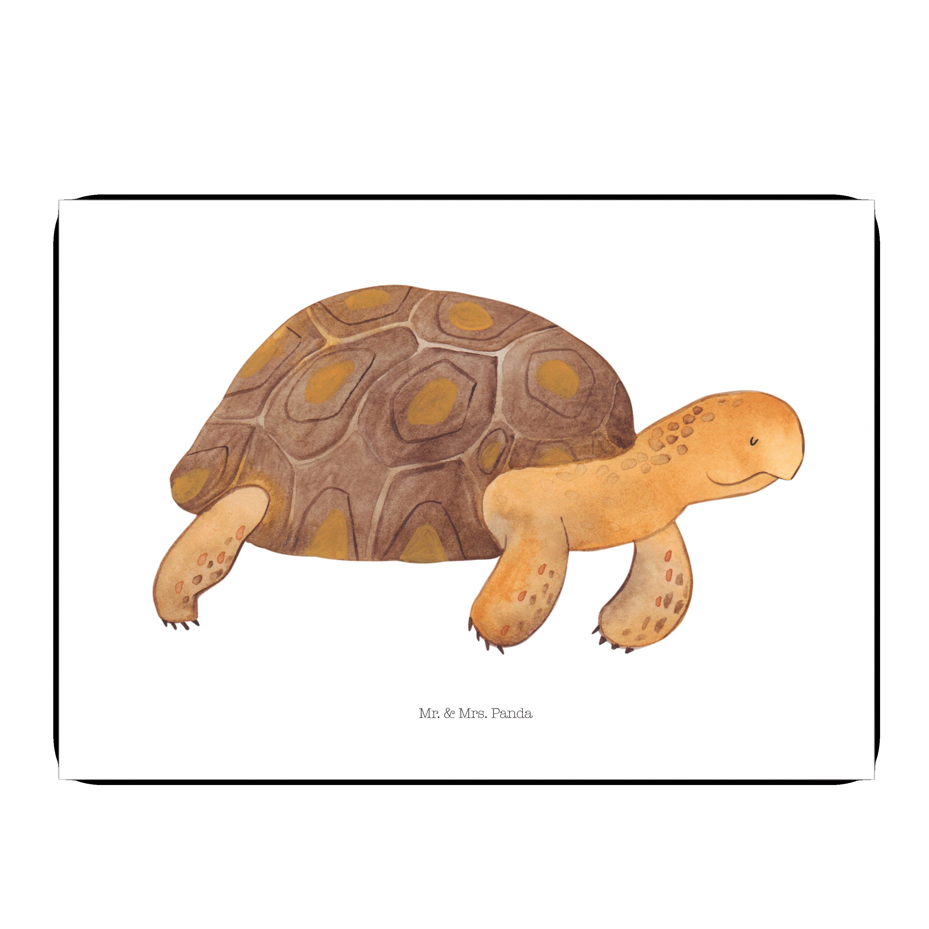 HONMEET 18 Stück Schildkröten Radiergummis - Lustige Schulmaterialien